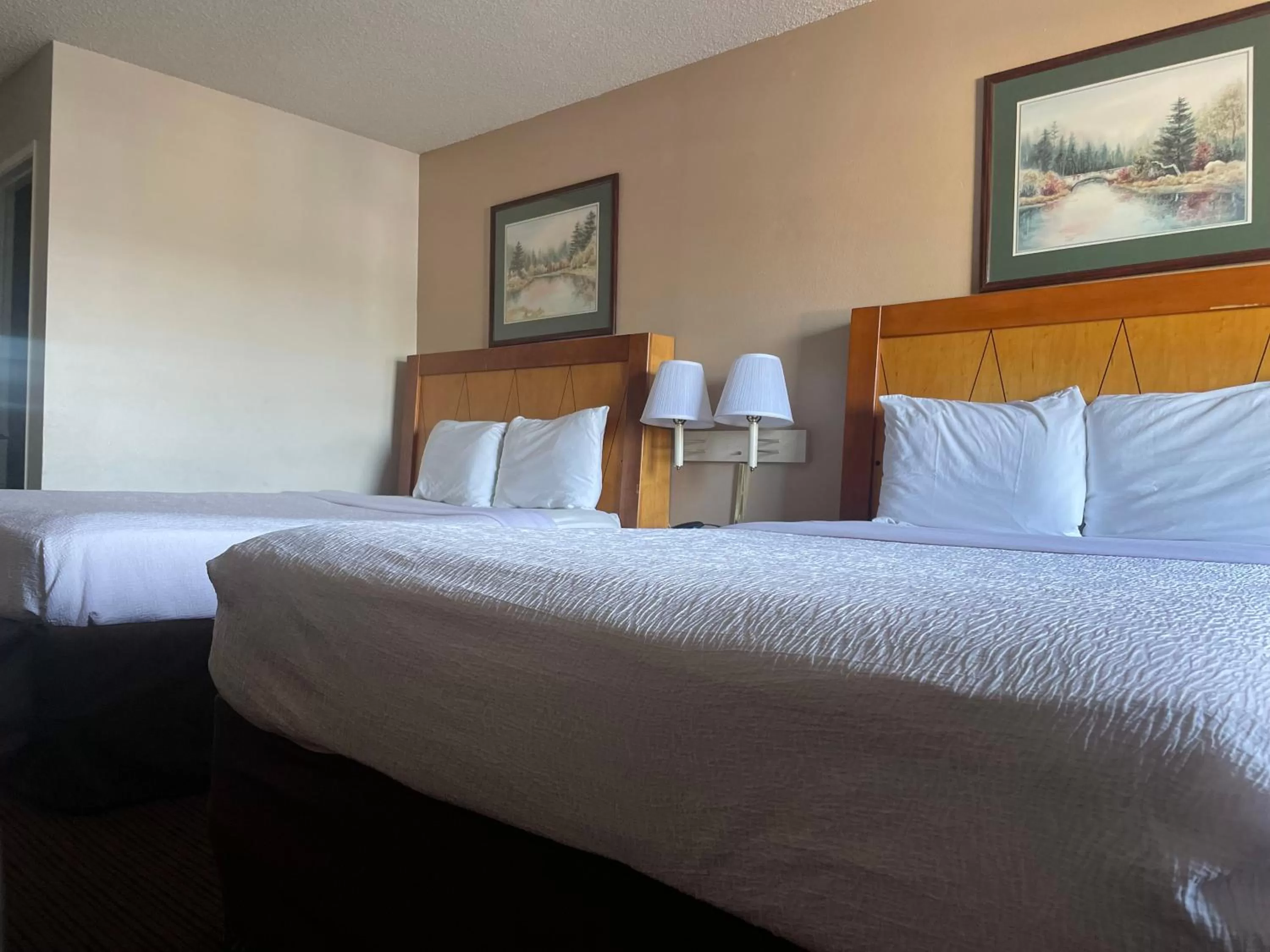 Bed in Skyway Inn - Seatac