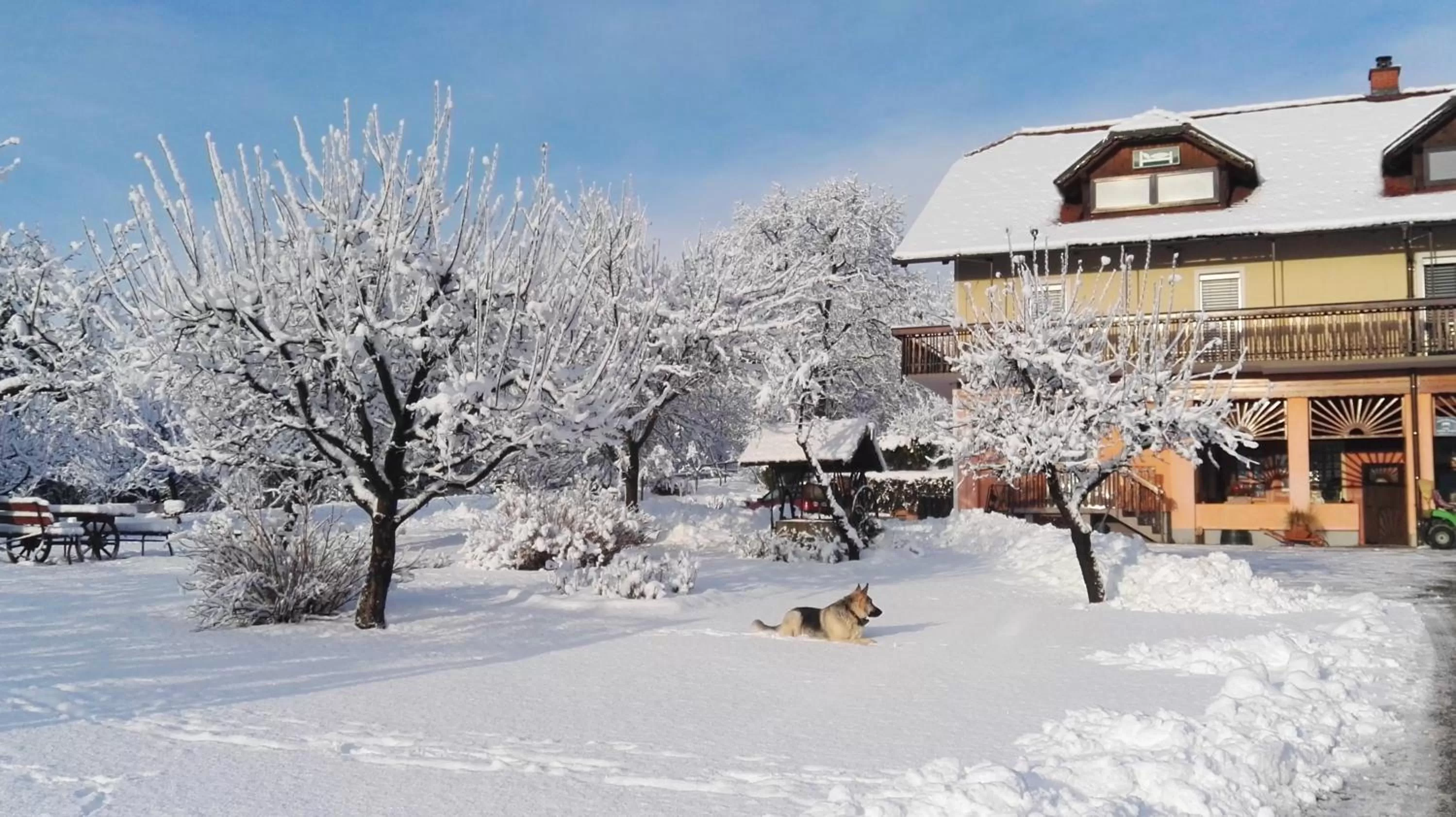 Winter in Panorama B&B