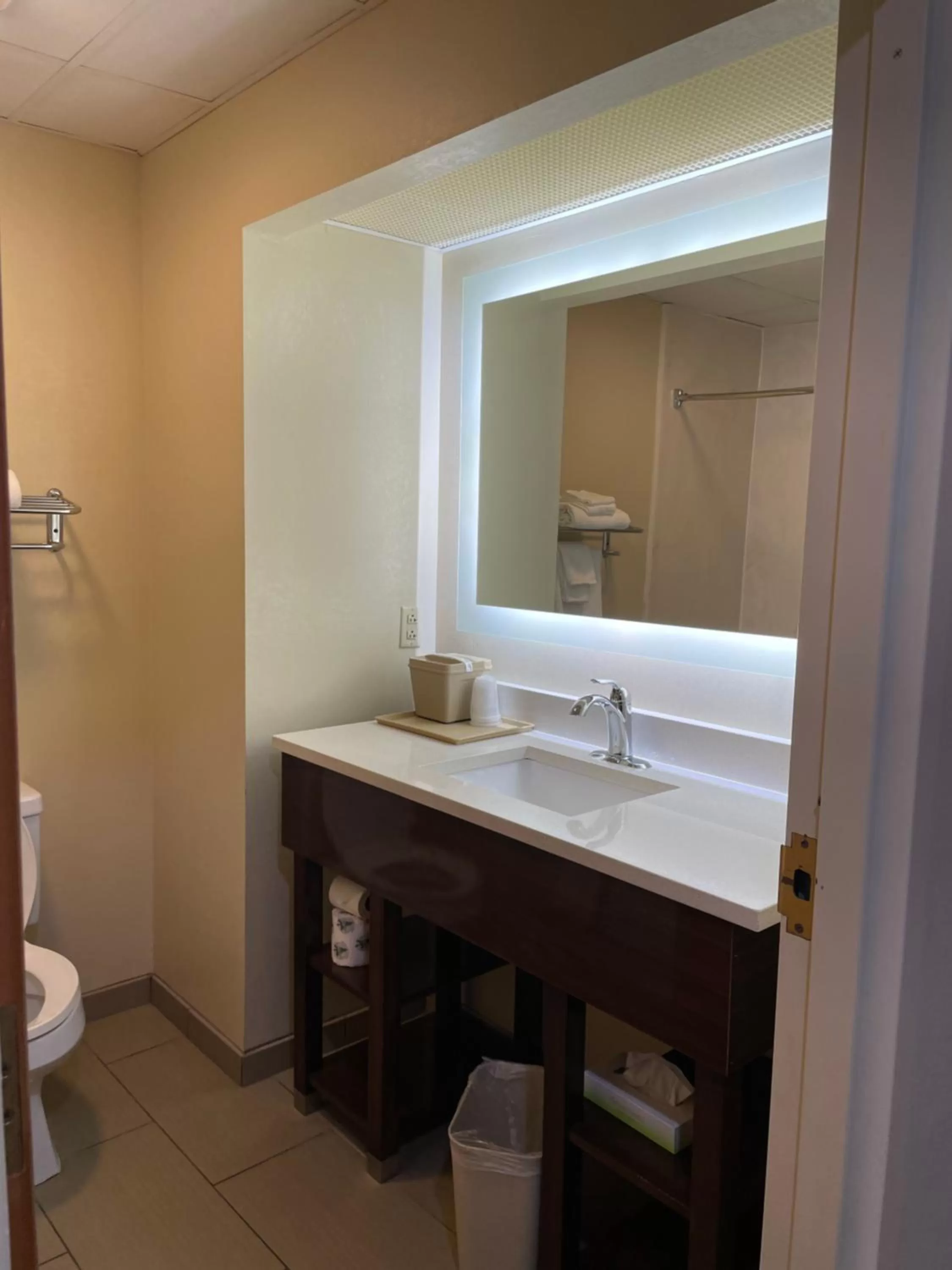 Bathroom in Econo Lodge Newport Smoky Mountains Gateway