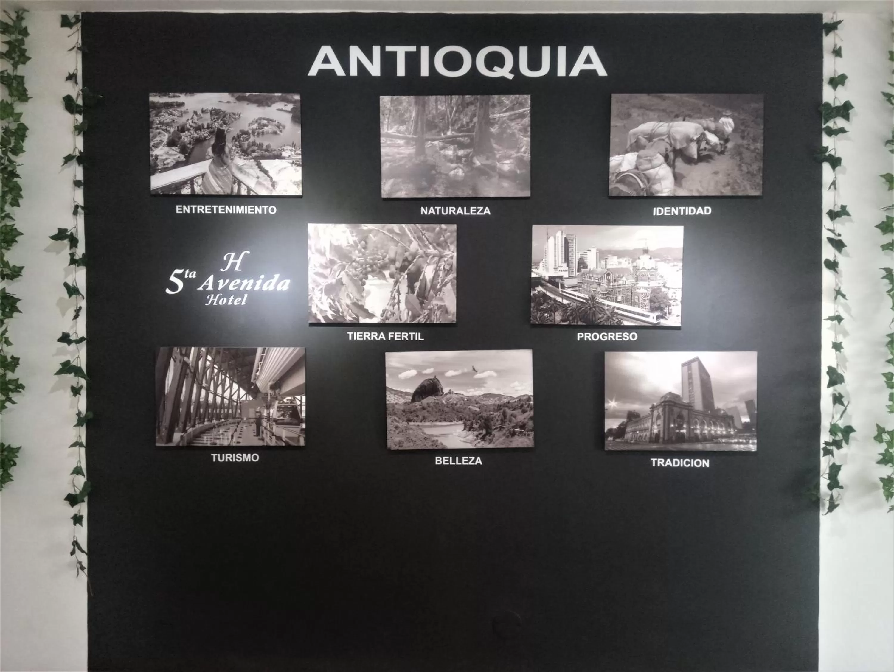 Logo/Certificate/Sign in Hotel Quinta Avenida