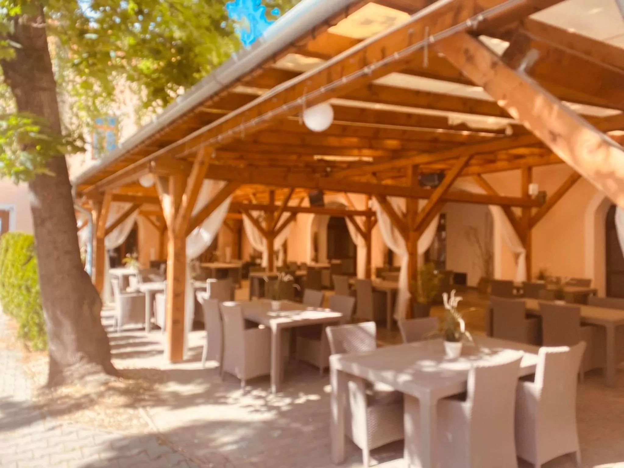 Restaurant/Places to Eat in Hotel Jelen