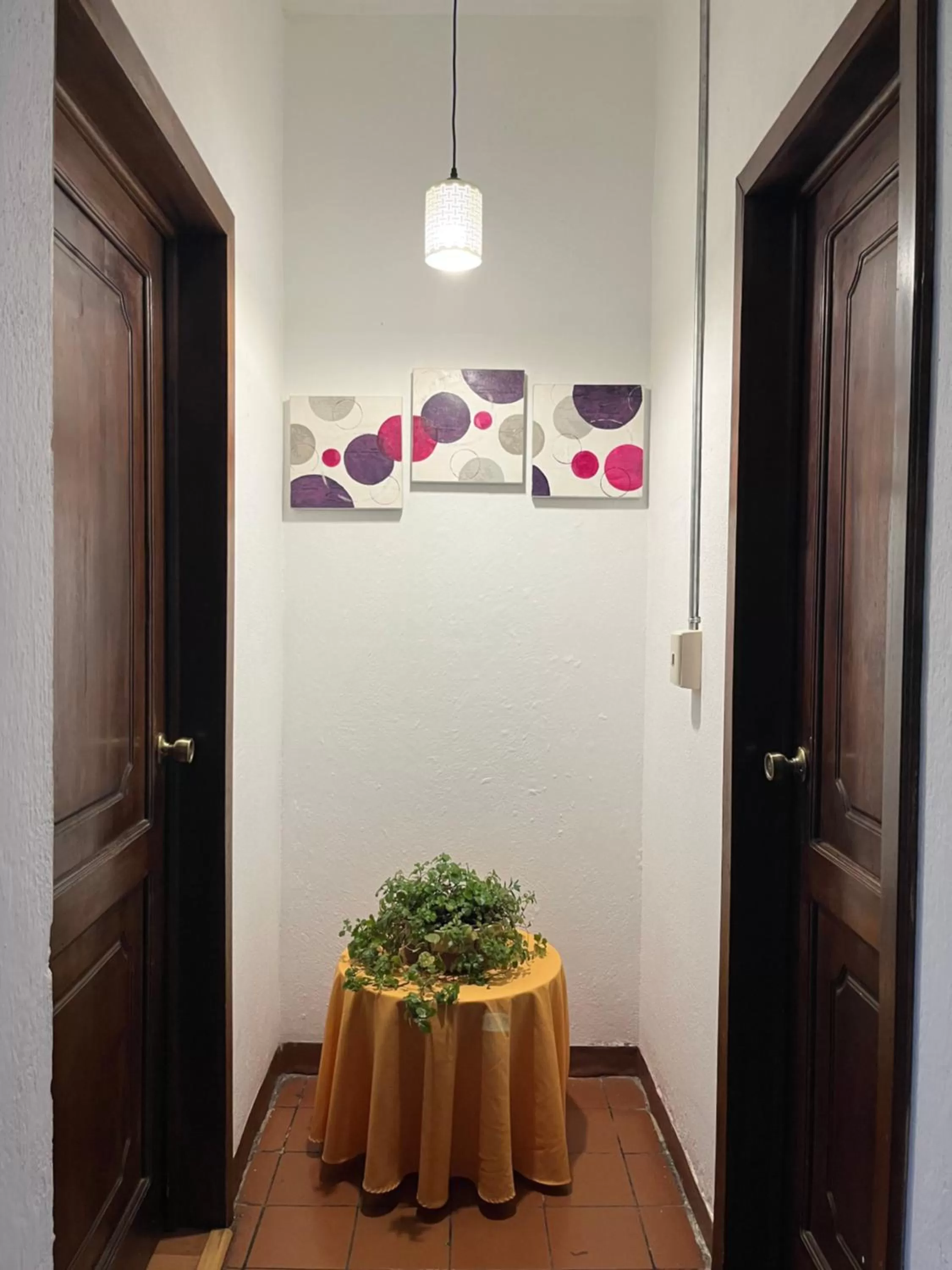 Apartamentos Otorongo Cuenca Ecuador