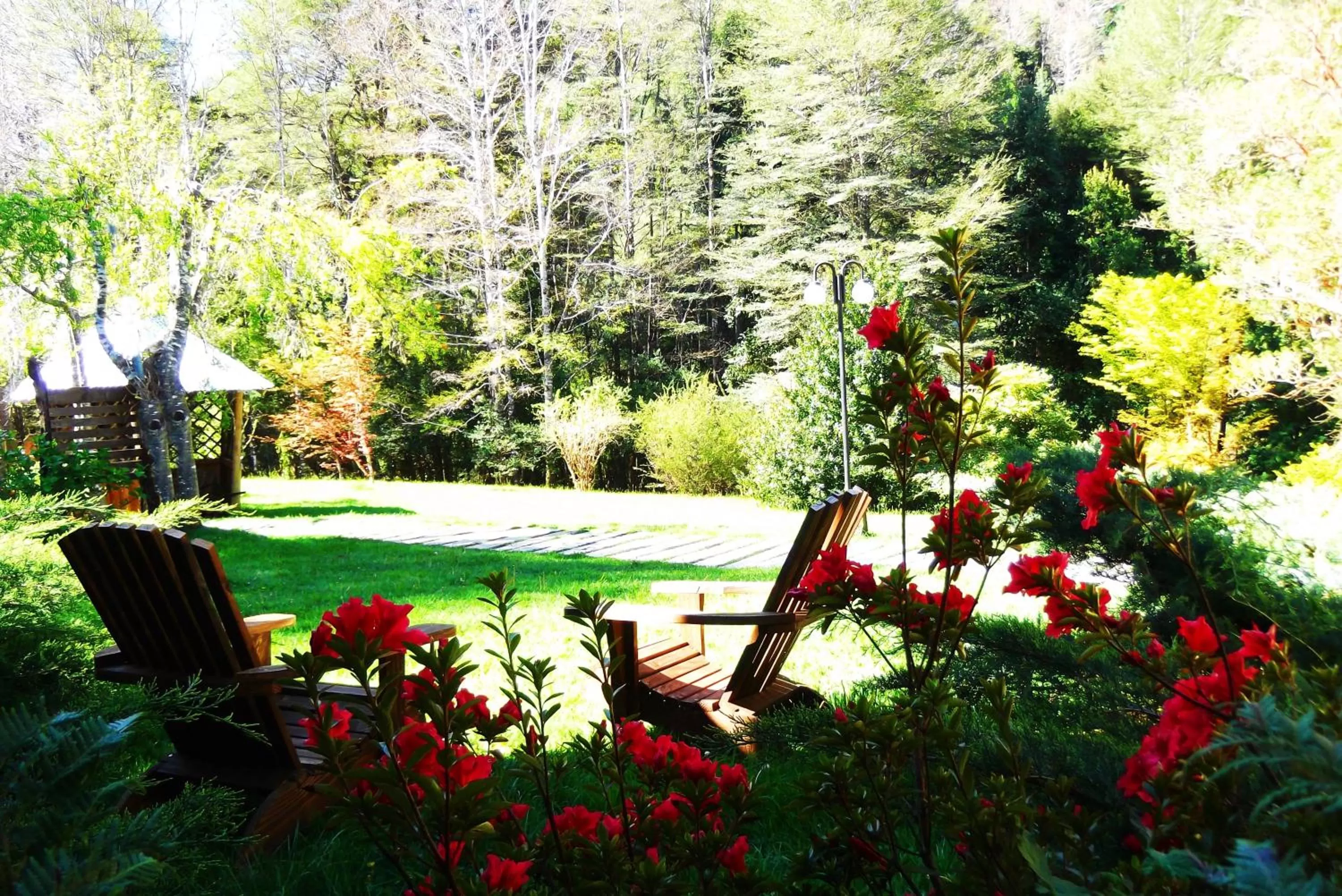 Garden view, Swimming Pool in Hotel Salto del Carileufu
