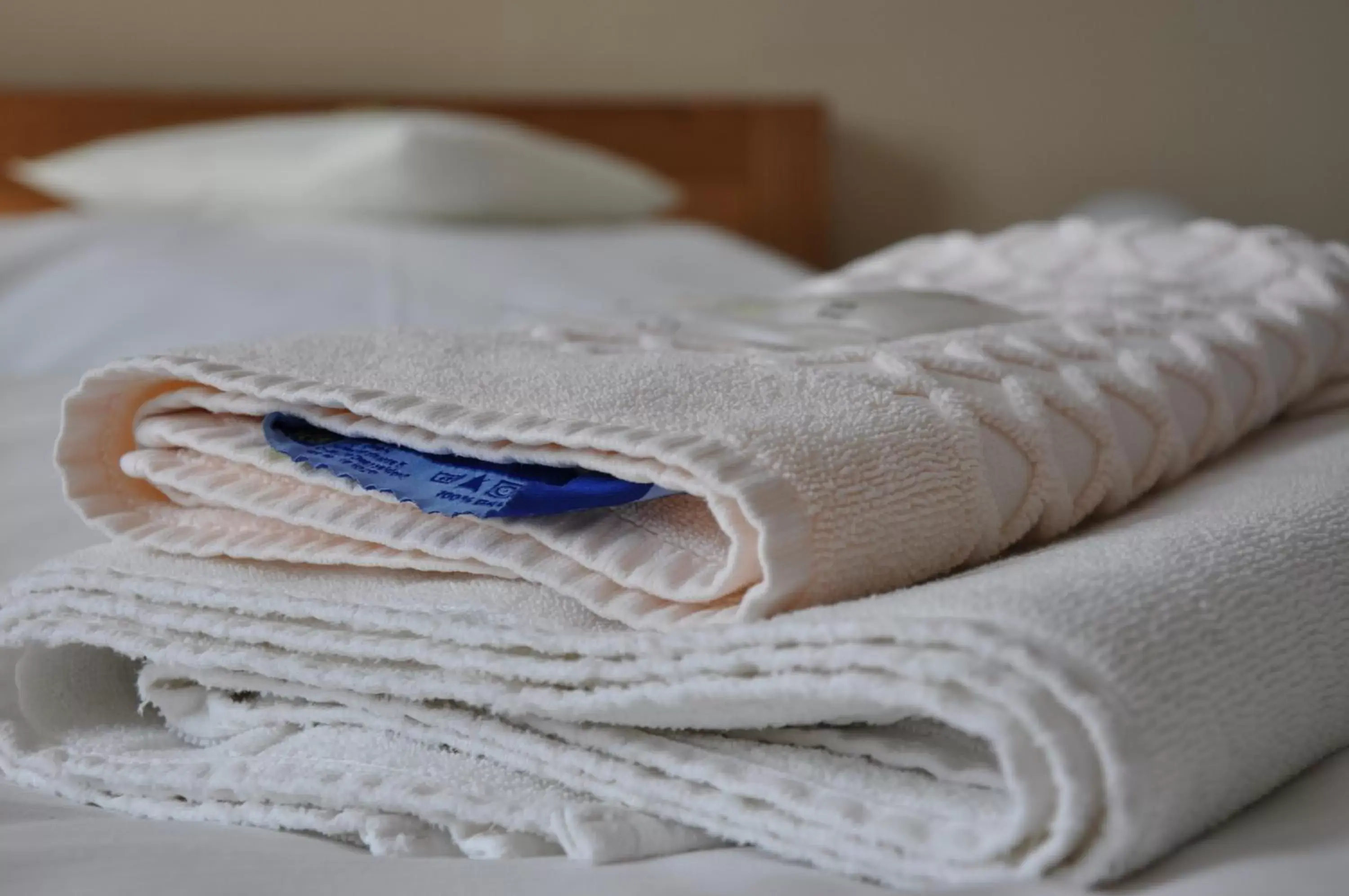 Single Room in Hotel Lions Plzen Single Room in Hotel Lions Plzen