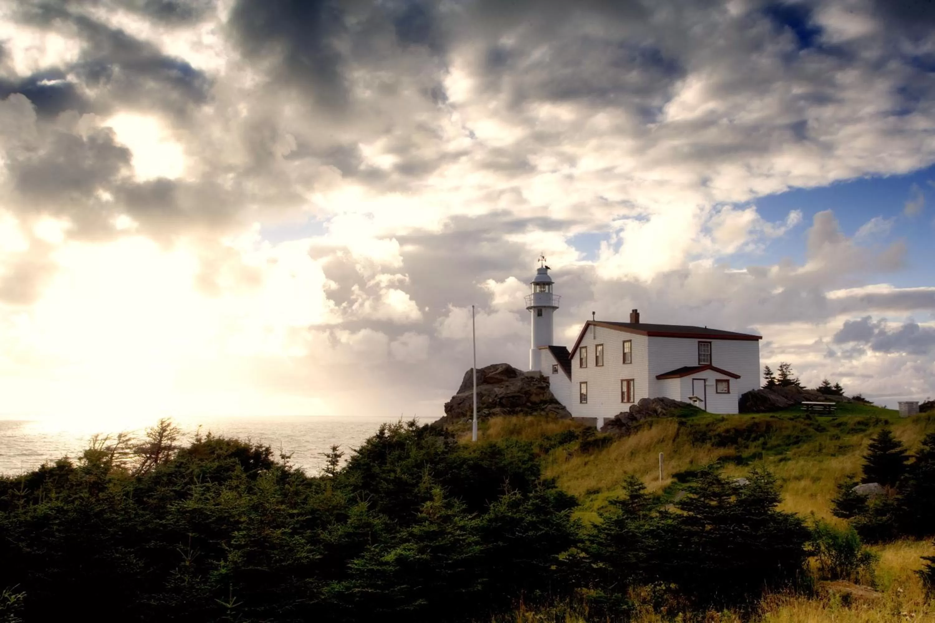 Other in Deer Lake Horizon Hotel, BW Signature Collection