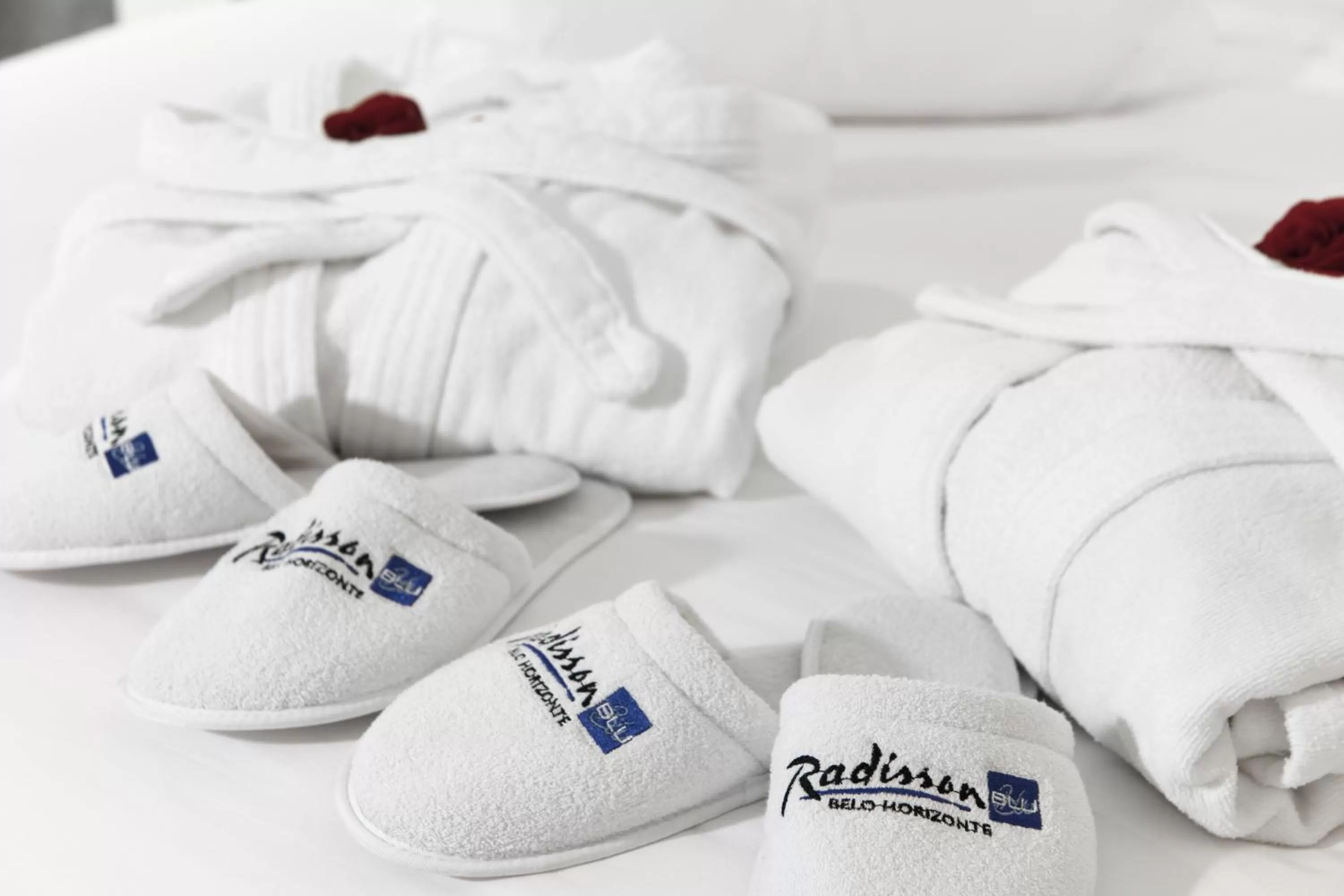 Decorative detail in Radisson Blu Belo Horizonte Savassi