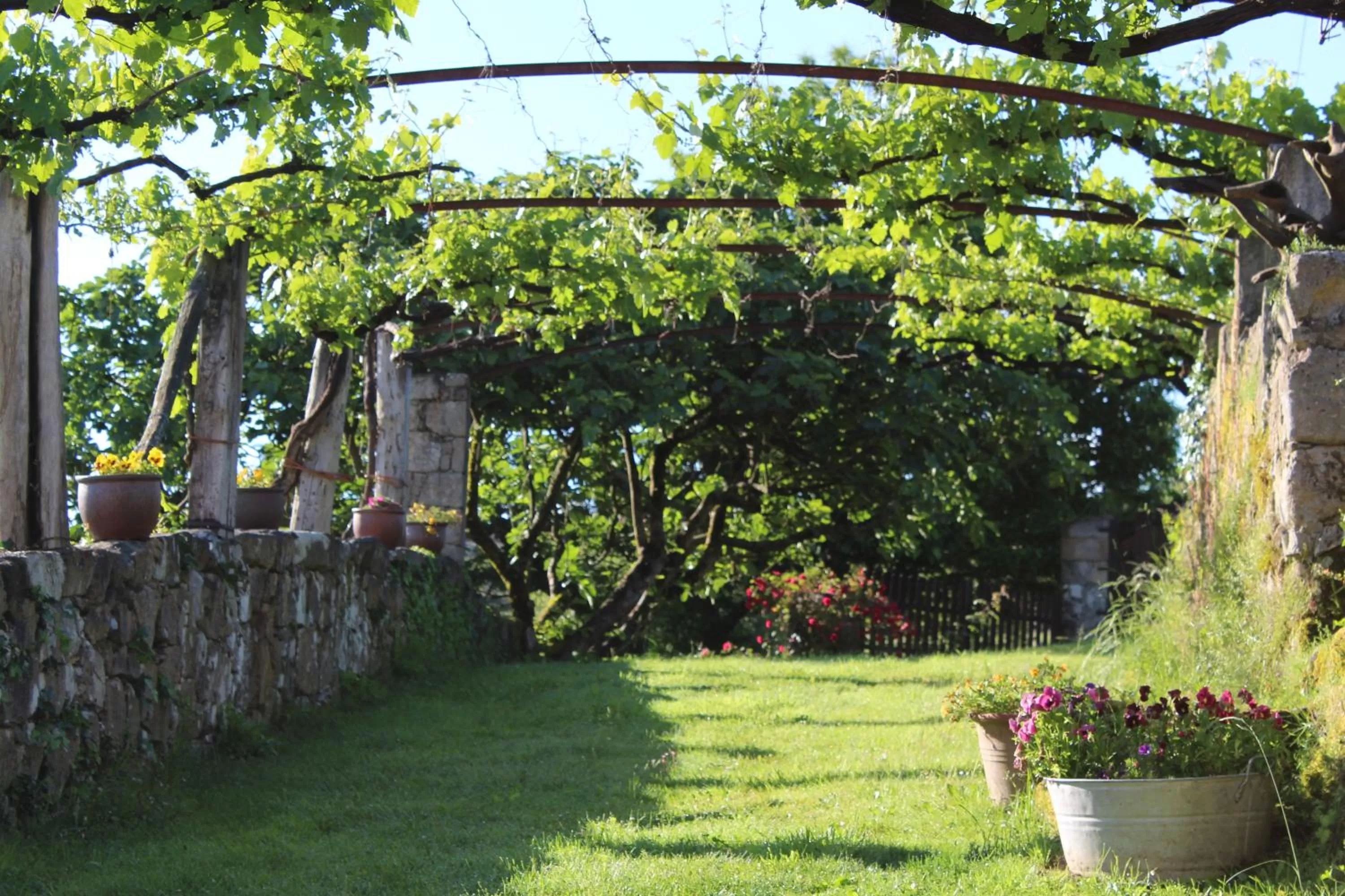 Spring in Rectoral de Anllo