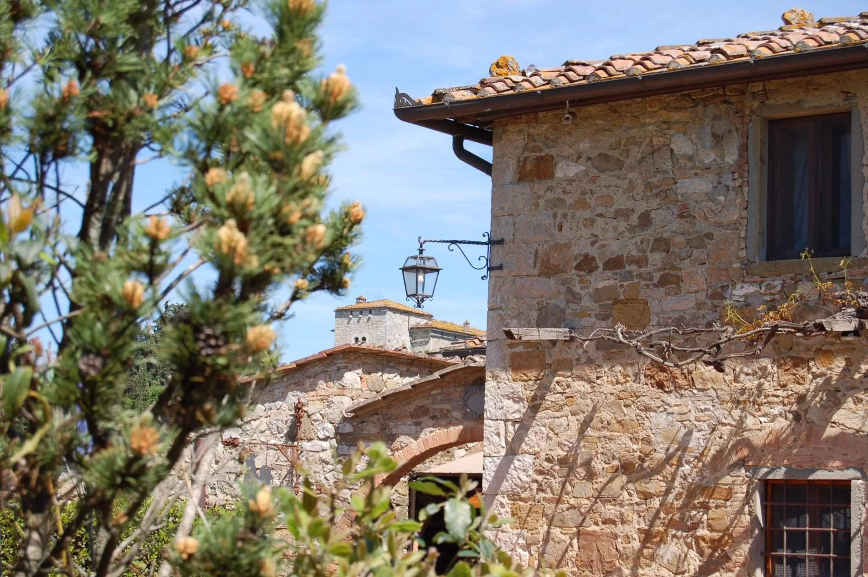 Garden in Hotel Belvedere Di San Leonino