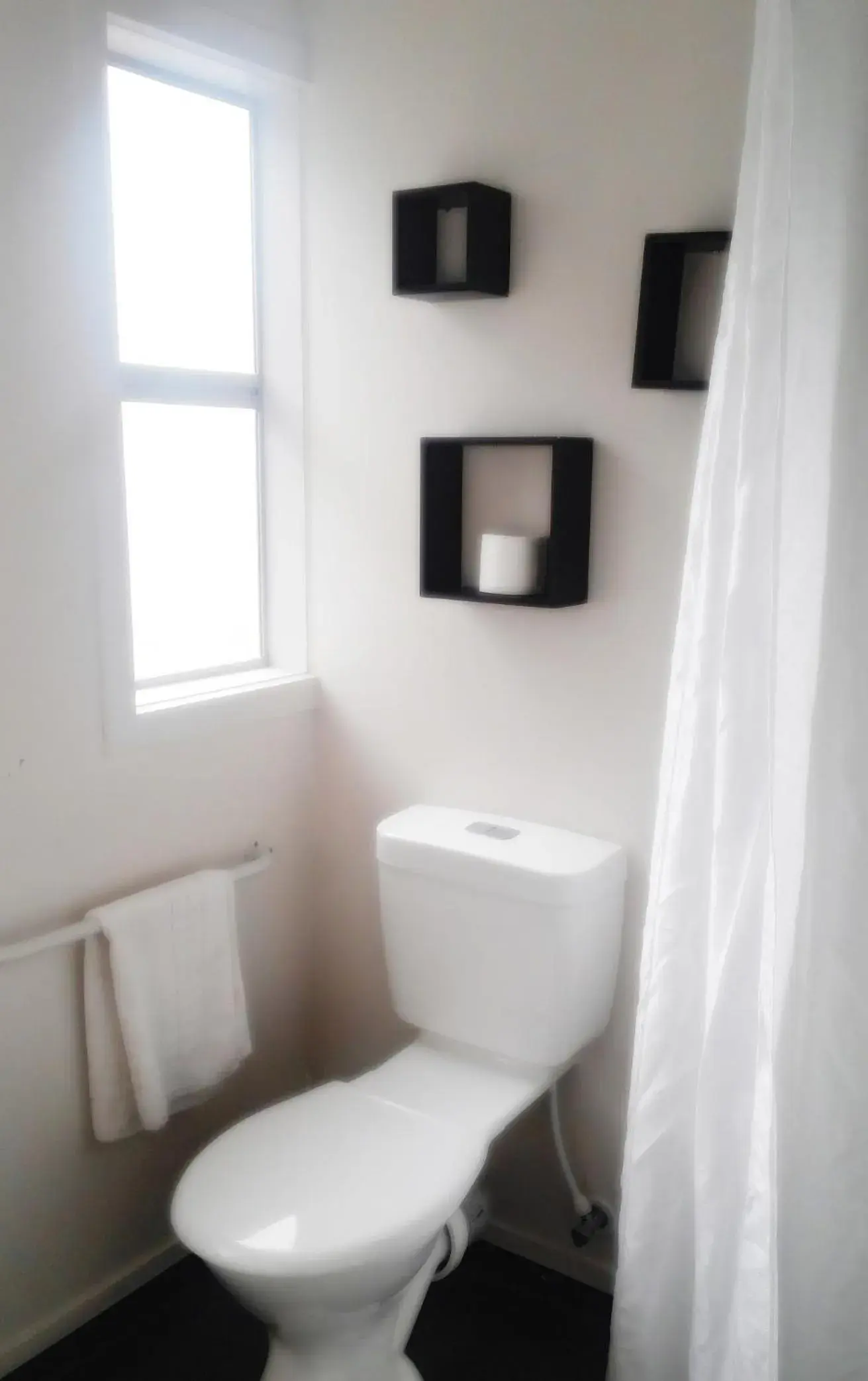 Twin Room with Private Bathroom - single occupancy in Backpackers Central Hamilton Twin Room with Private Bathroom - single occupancy in Backpackers Central Hamilton