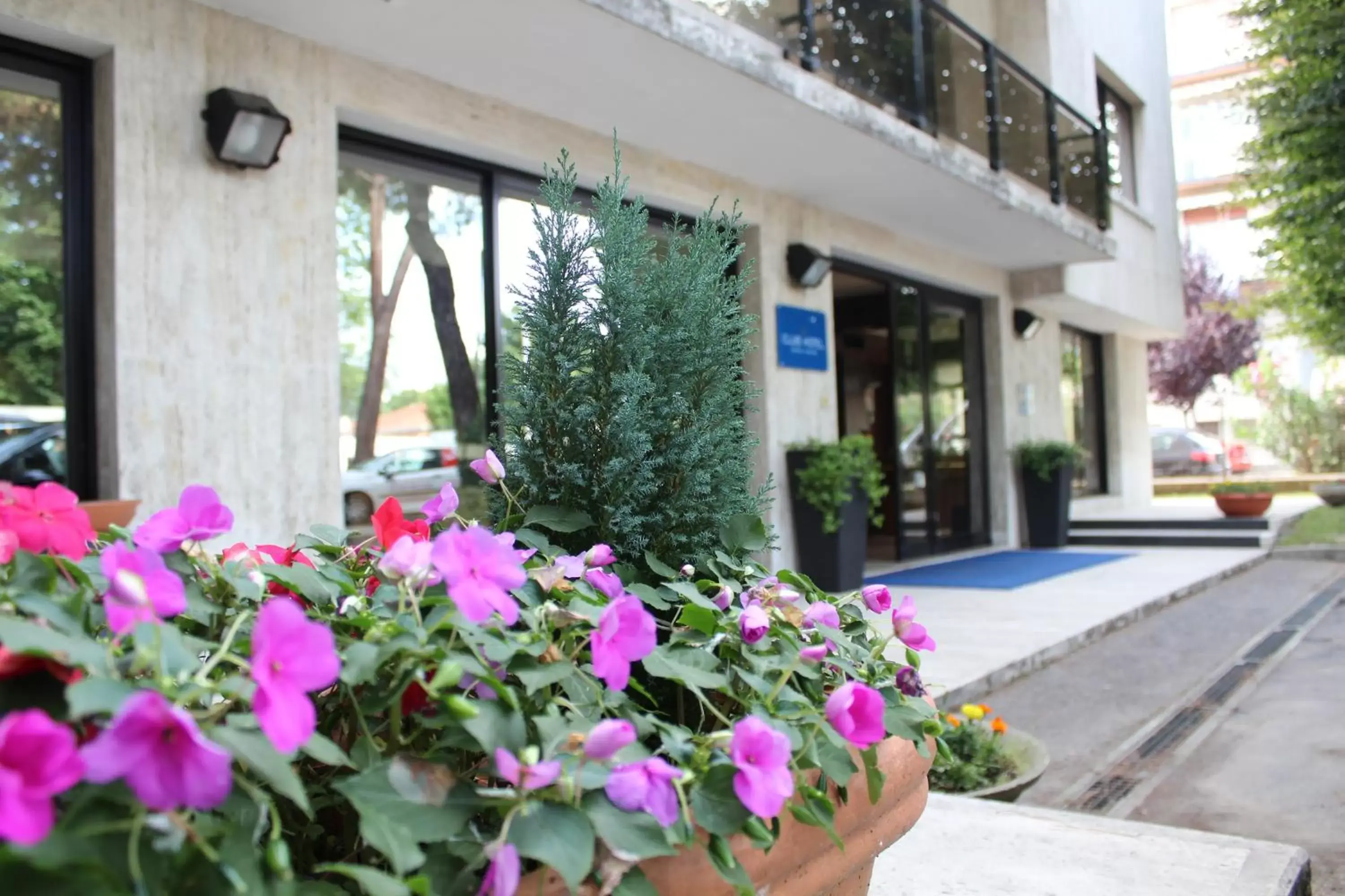 Club Hotel Club Hotel