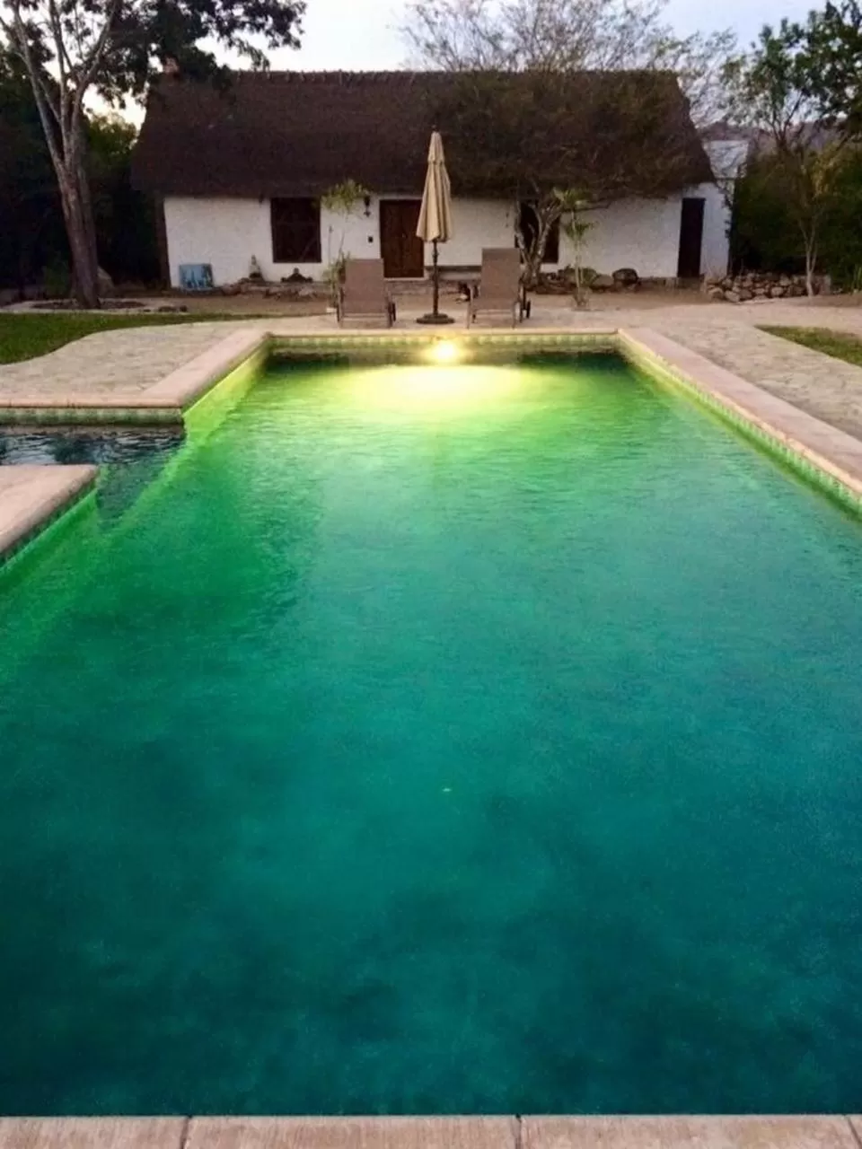 Swimming pool in El Pedregal - Hotel en la Naturaleza