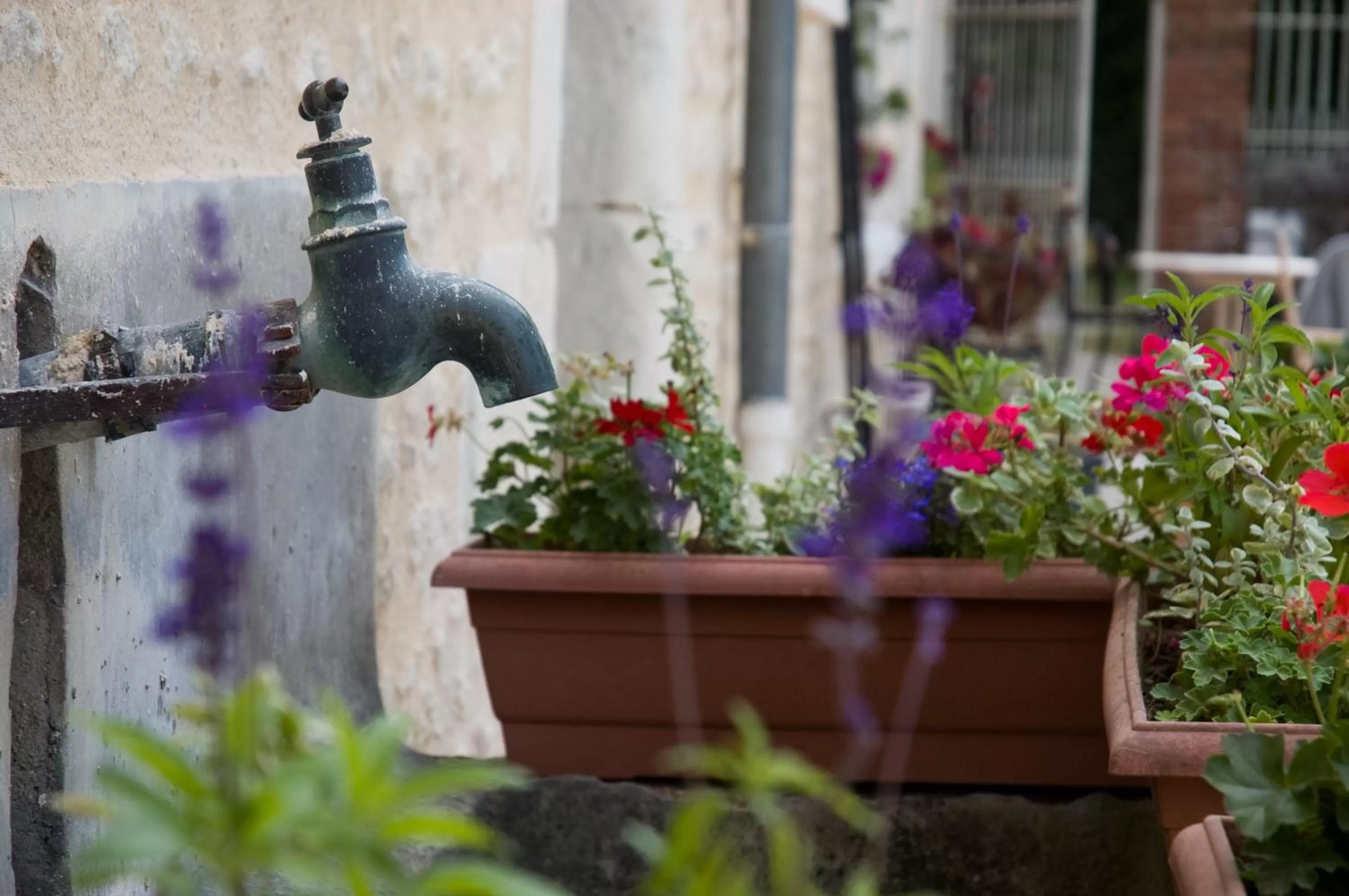 Decorative detail in Les Pierres D'aurèle Chambres d'Hôtes
