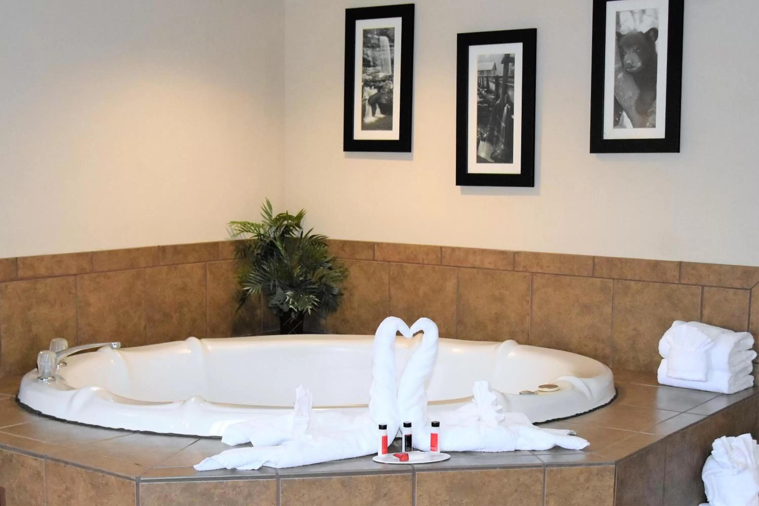 Hot Tub in Ramada by Wyndham Pigeon Forge North