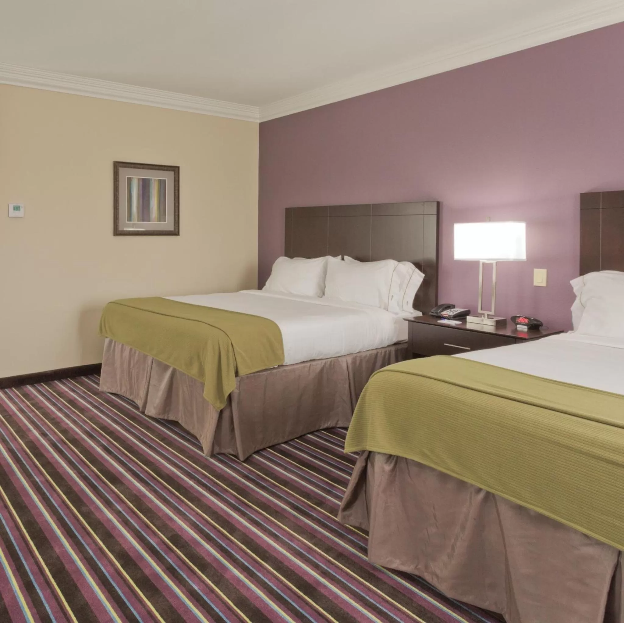 Photo of the whole room, Bed in Holiday Inn Express & Suites Raceland - Highway 90 by IHG