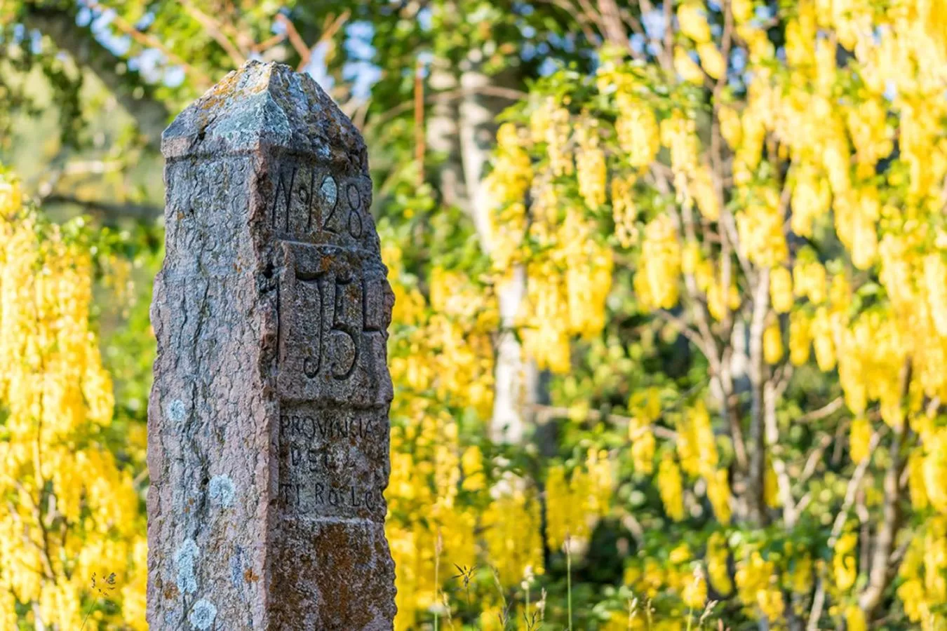 Natural landscape in Locanda Alpina