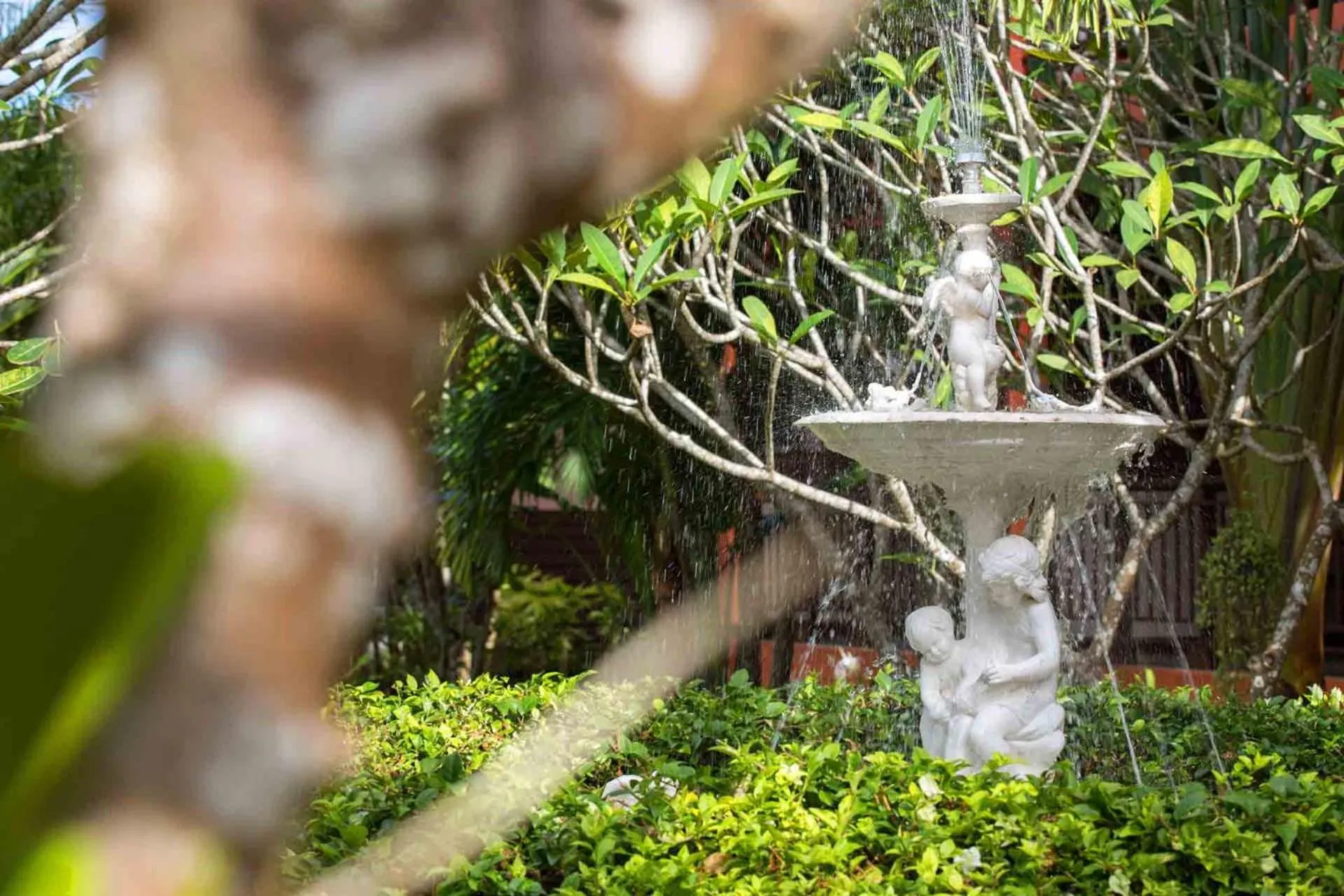 Garden in Pinnacle Samui Resort