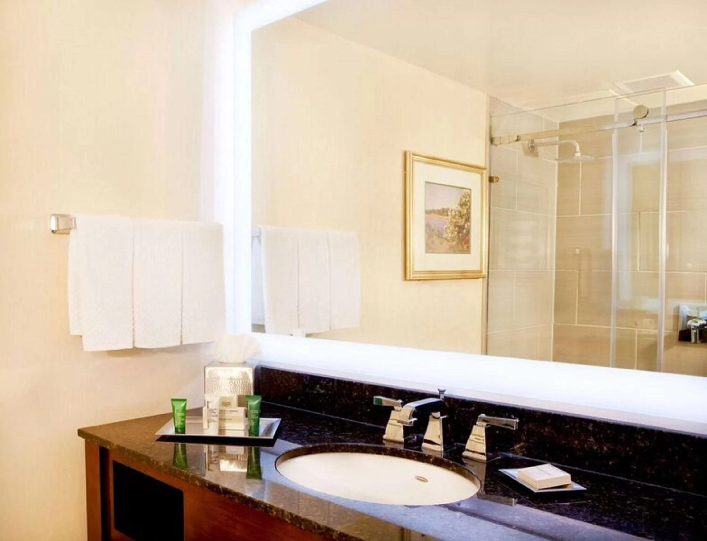 Bathroom in Hilton Woodcliff Lake