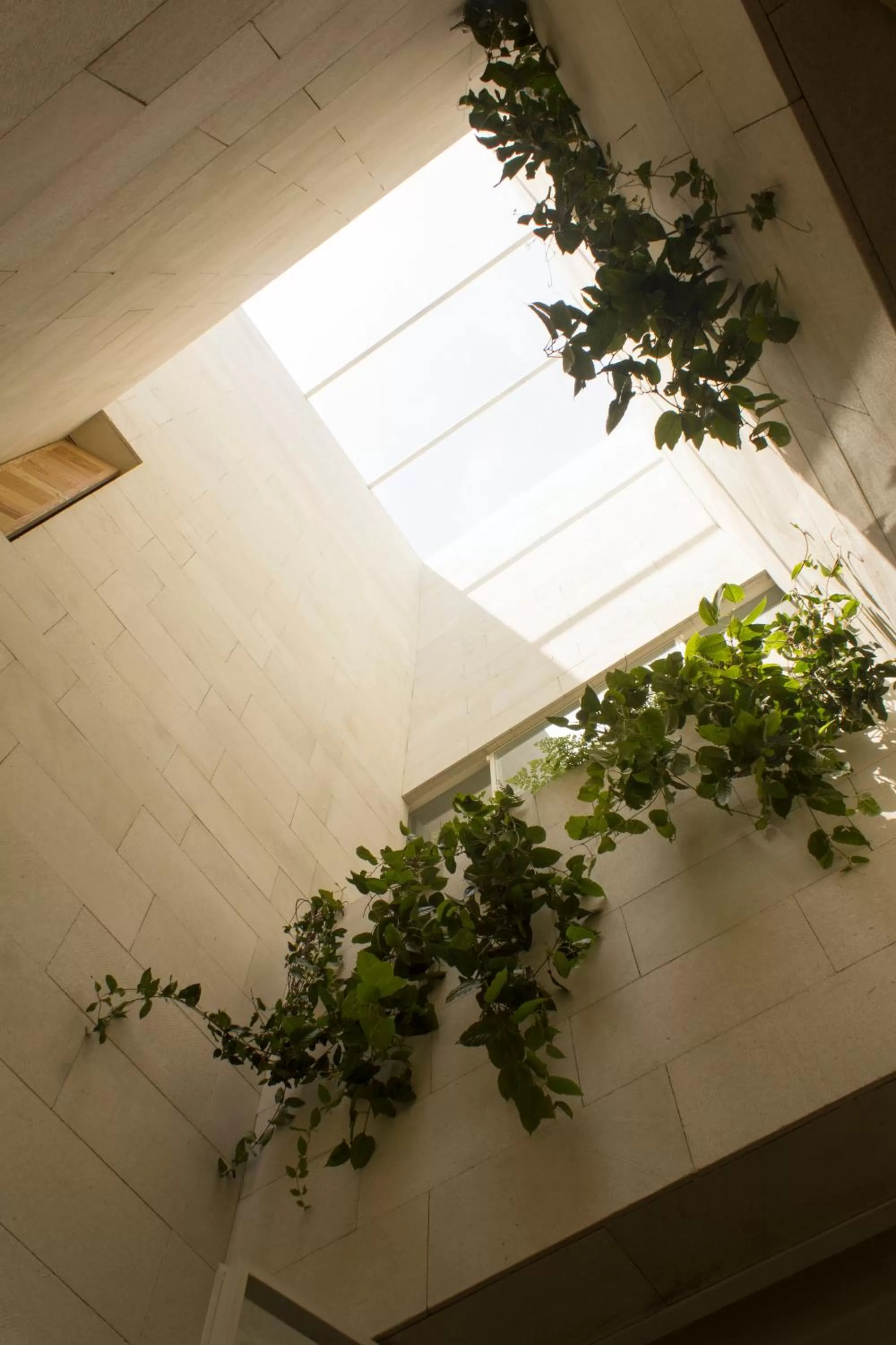 Property building in Círculo Mexicano, a Member of Design Hotels