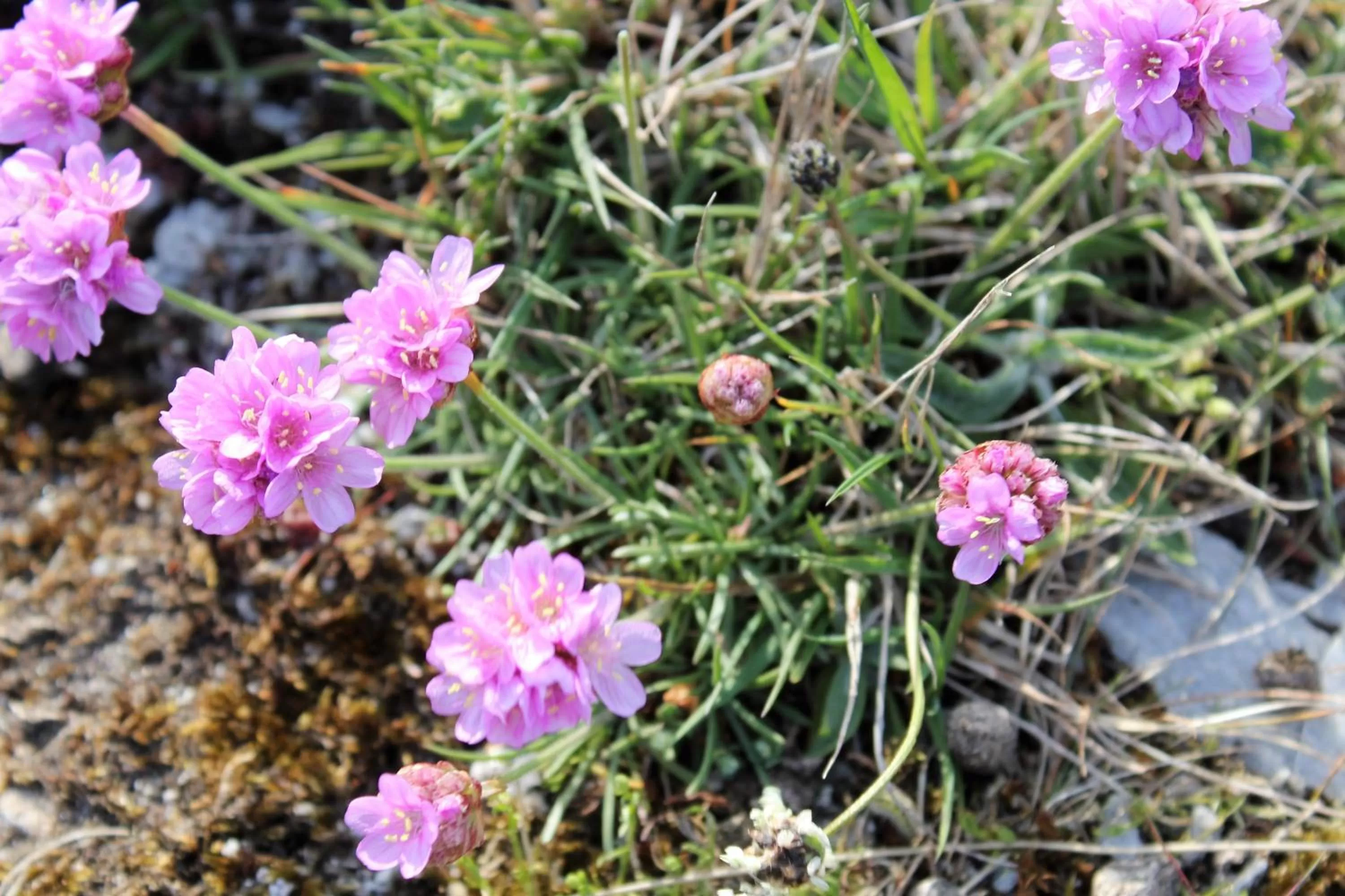 Beach in Hummeren Hotel