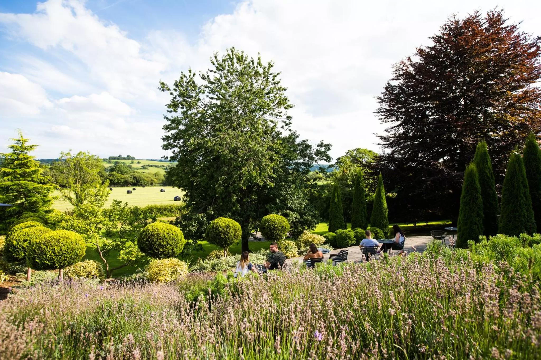 Patio in The Plough Inn