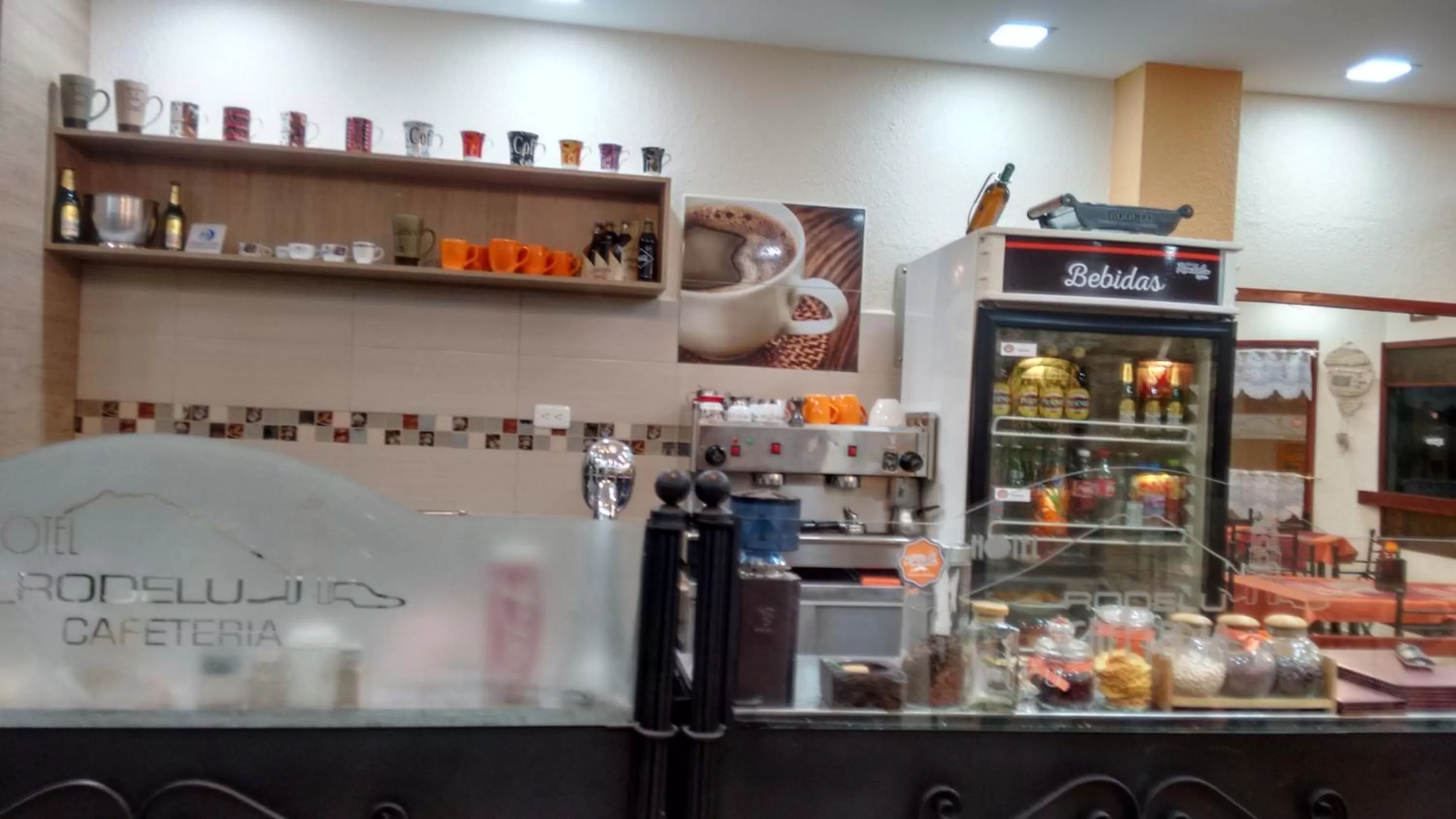 Lounge or bar in Hotel Rodelu