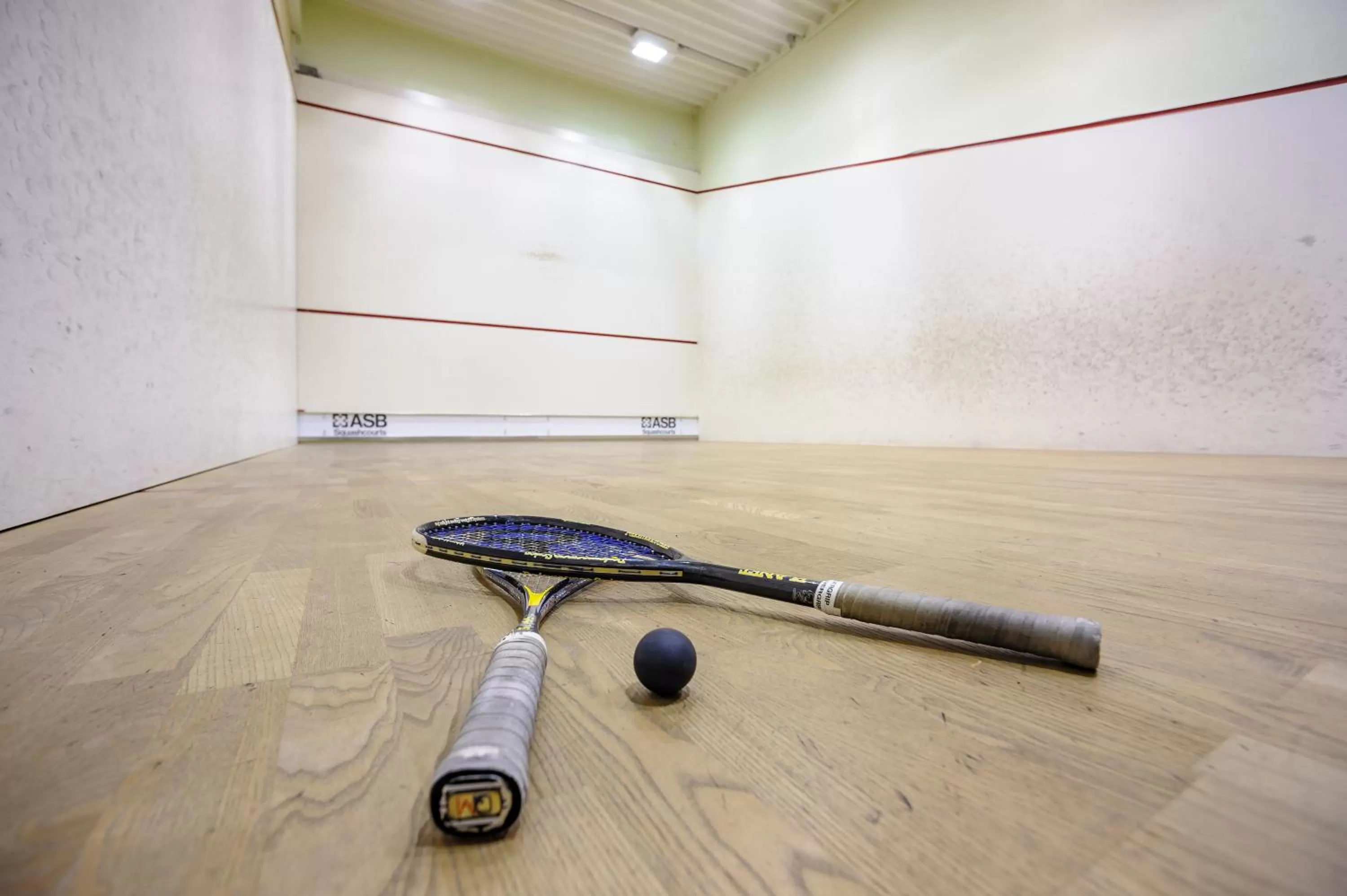 Other Activities in Hotel Harmonie