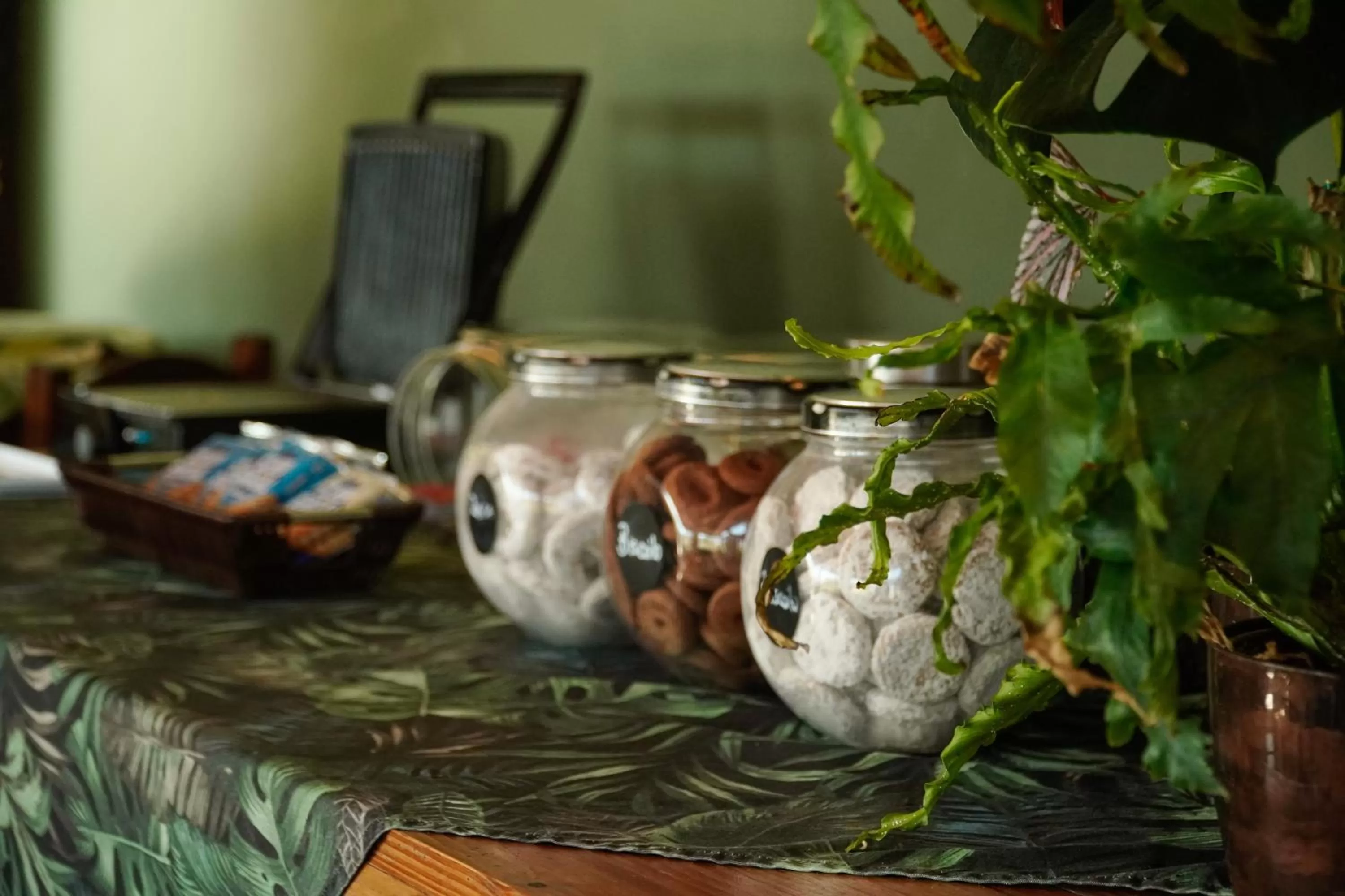 Breakfast, Food in Pousada Dunasol Floripa