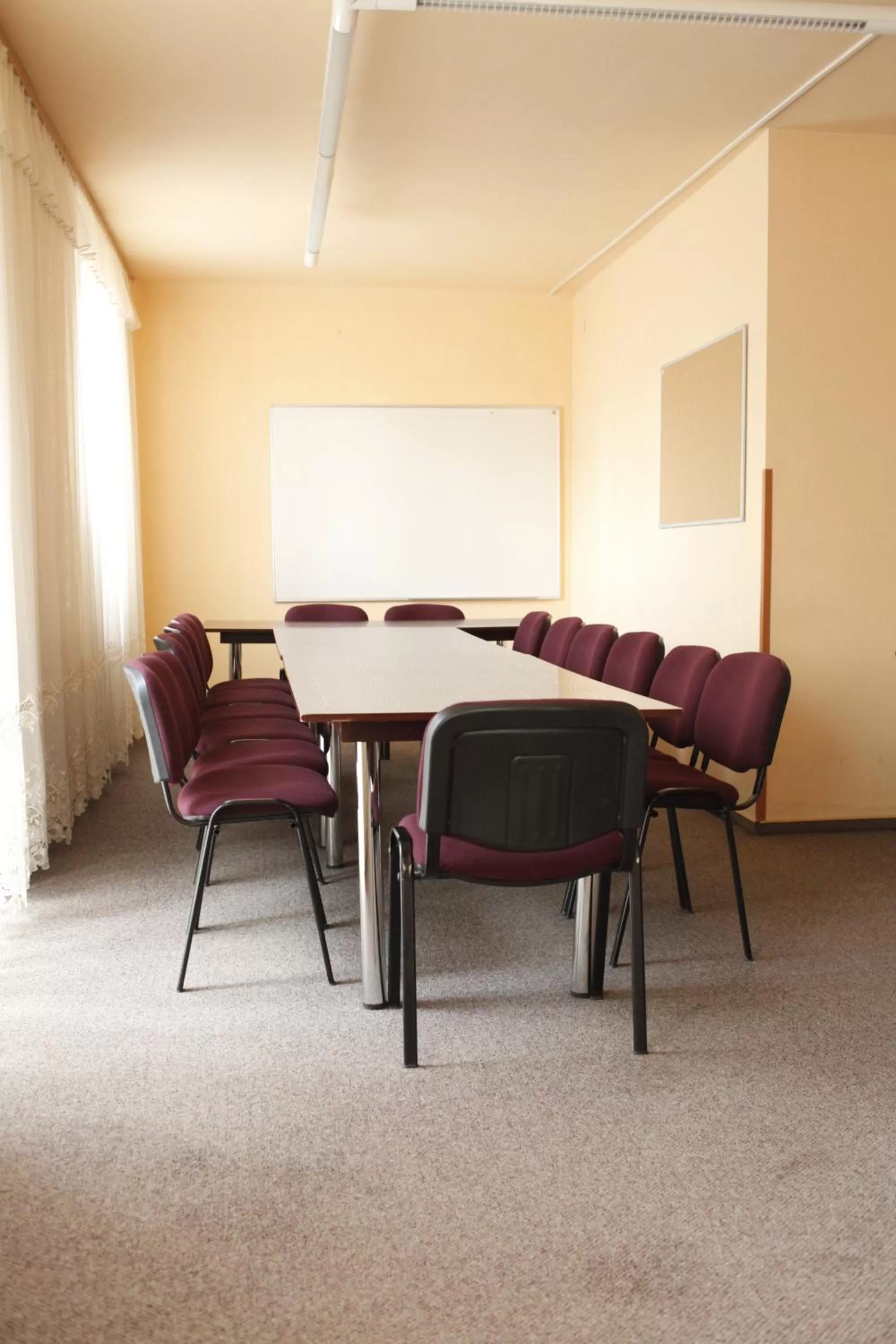 Meeting/conference room in Iskra