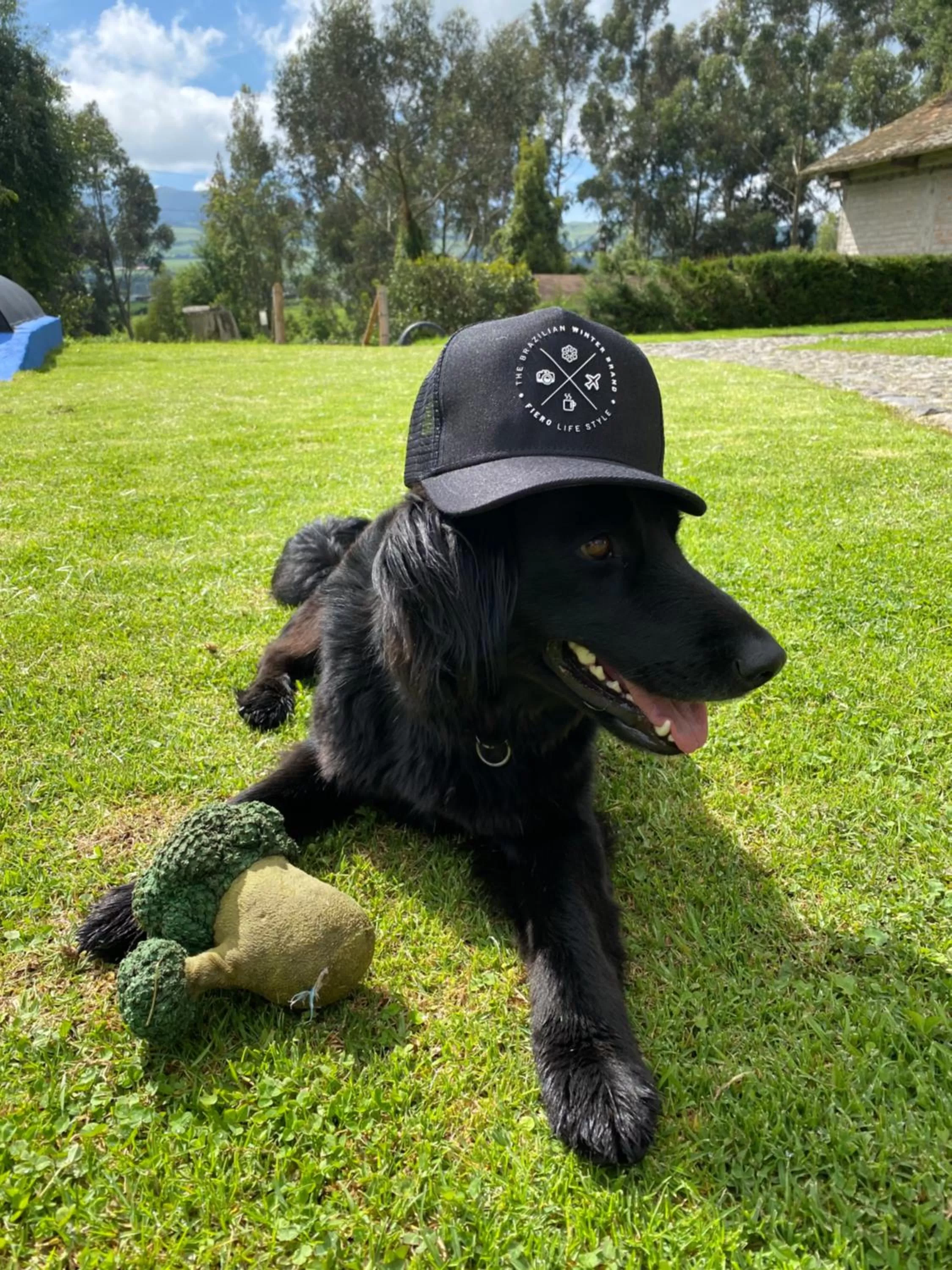 Hosteria Papagayo Cotopaxi