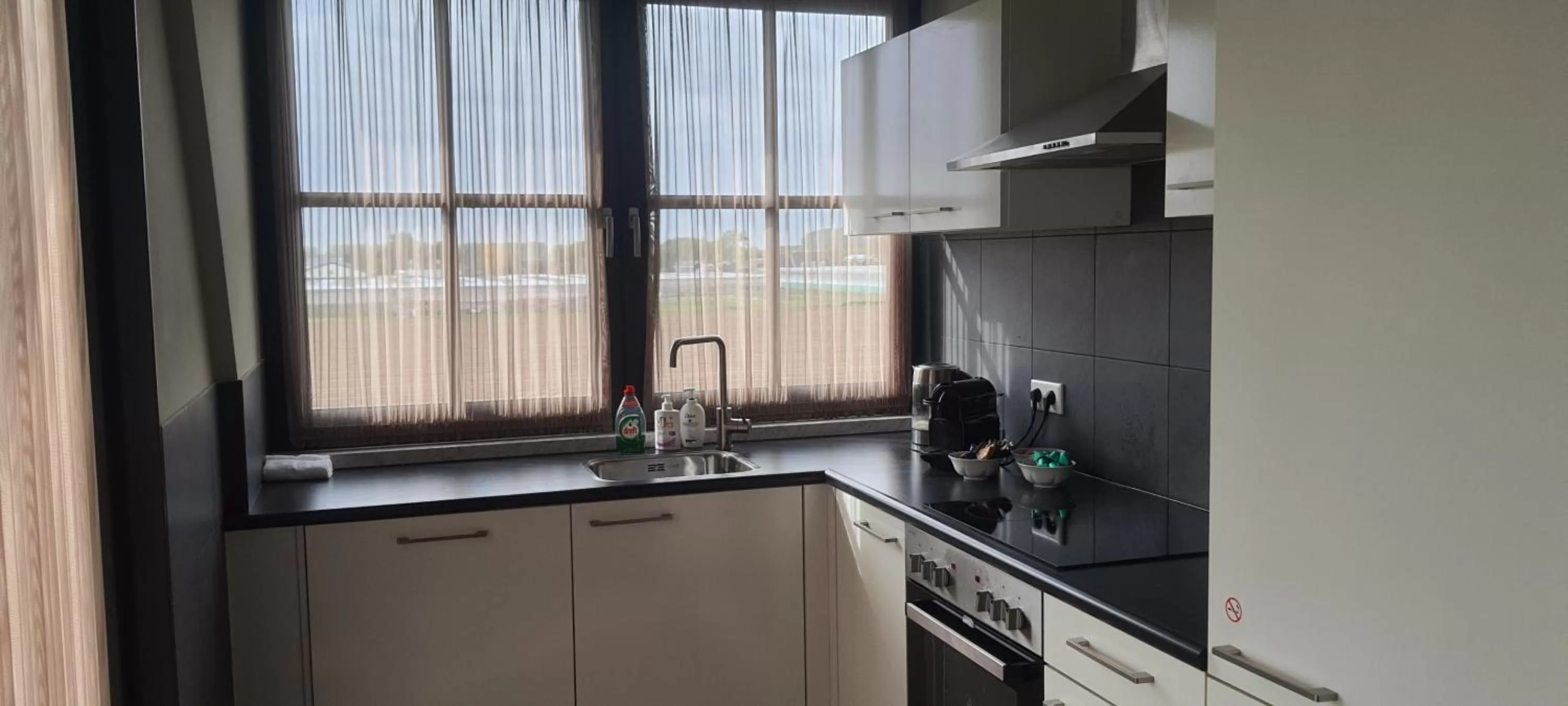 Kitchen or kitchenette in Sientjes Boetiekhotel