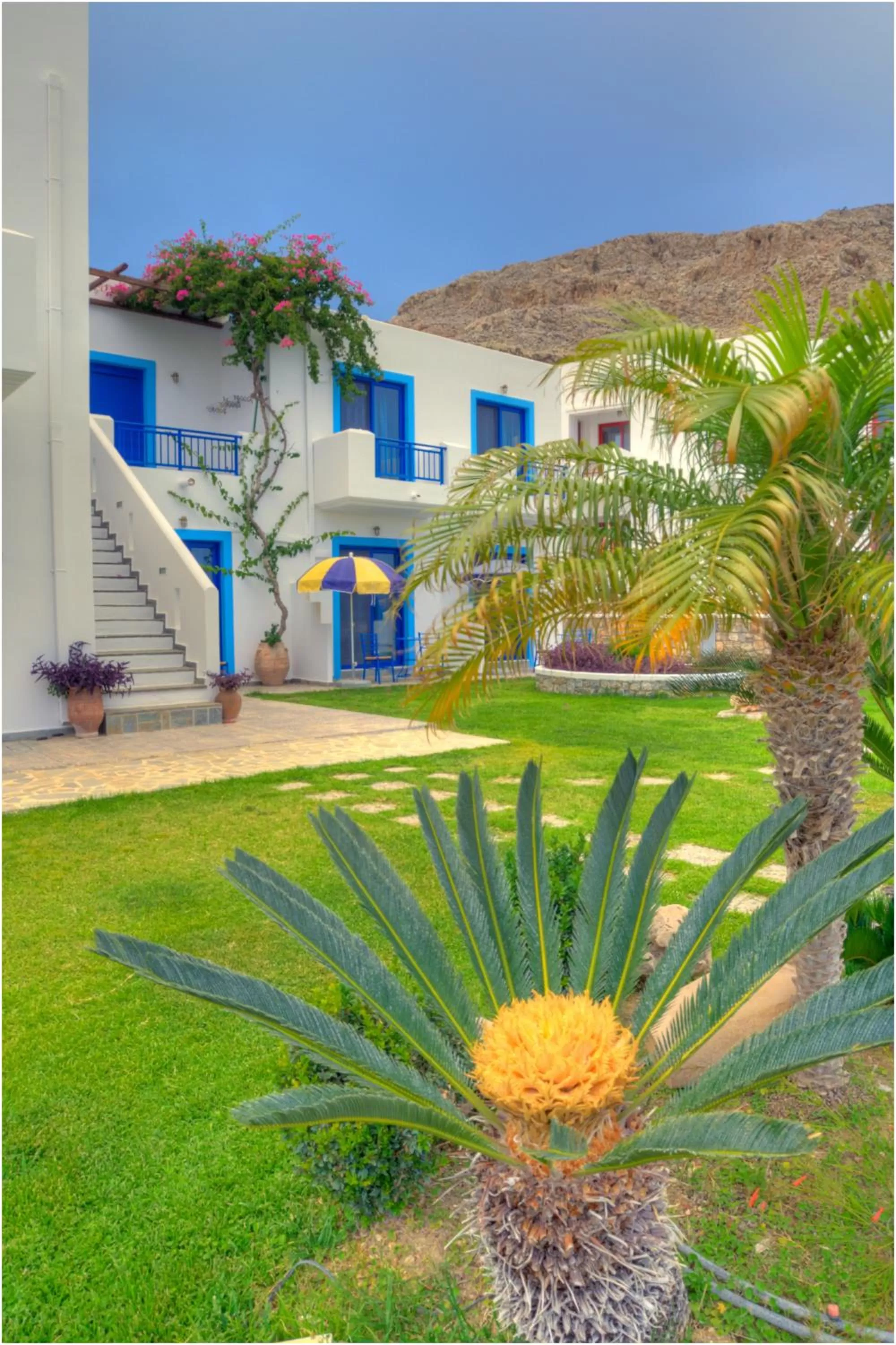 Garden in Bella Vista Stegna