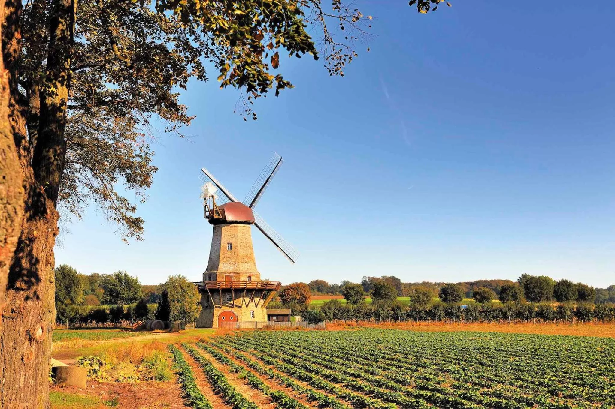 Nearby landmark in Lindenhof Hotel Tepe