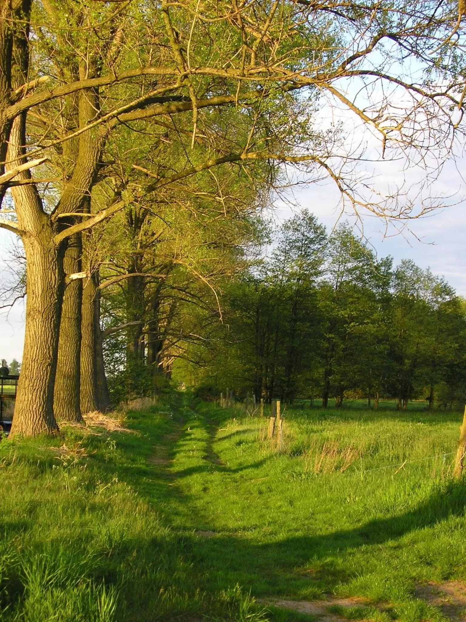 Other in Parkhotel Schönewalde