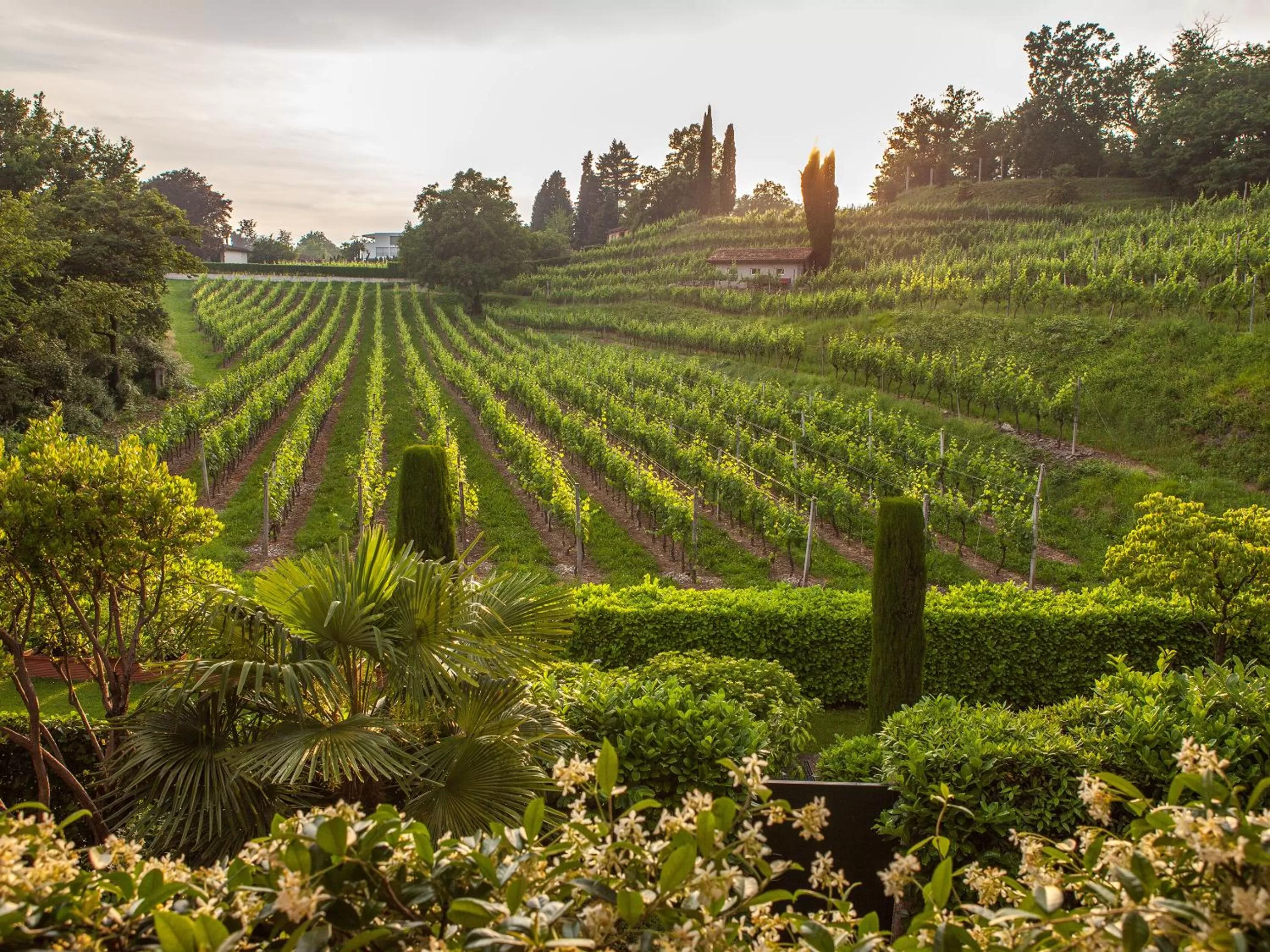 Garden in Park Hotel Principe