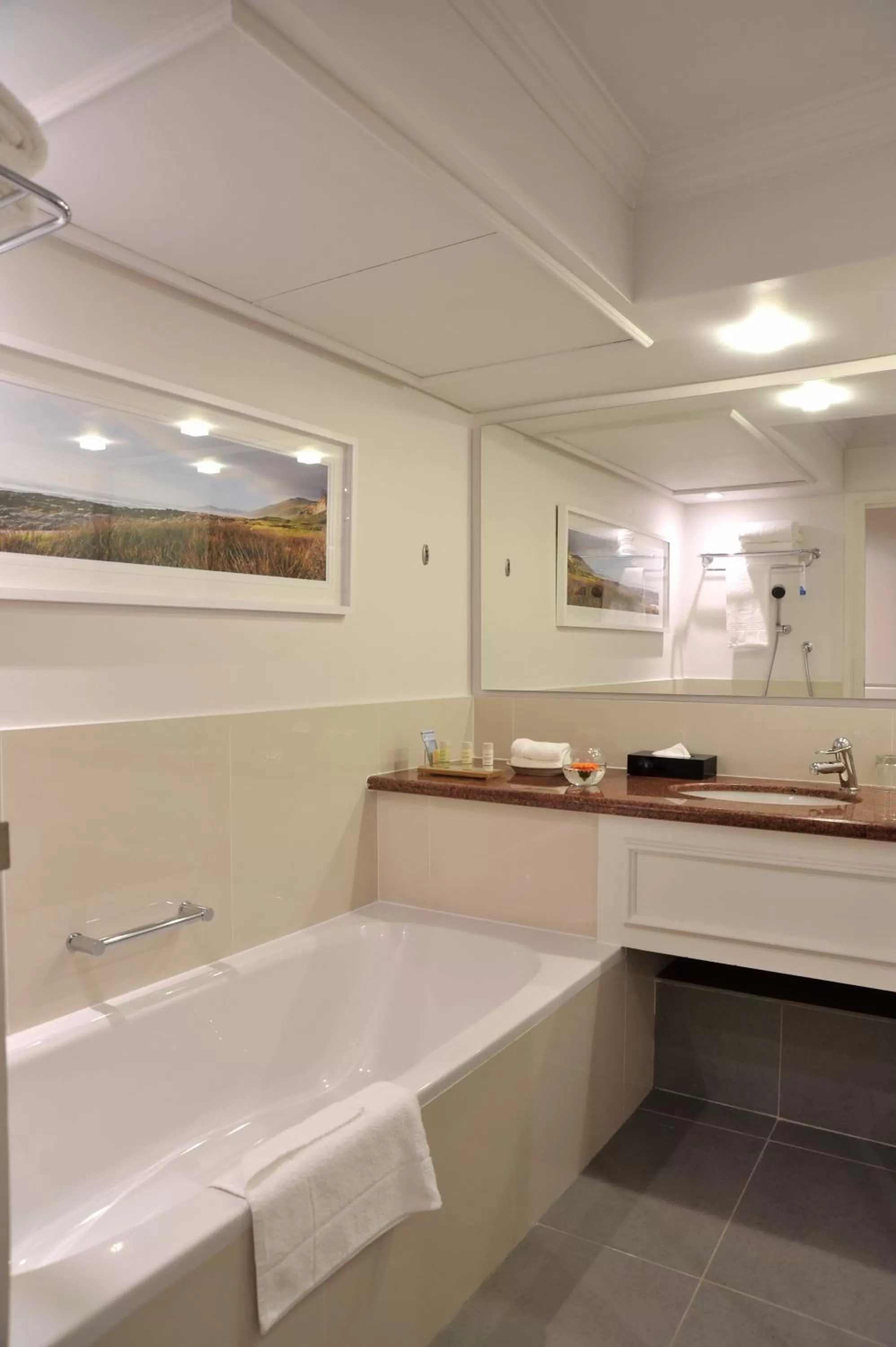 Toilet in Radisson Collection Hotel, Waterfront Cape Town