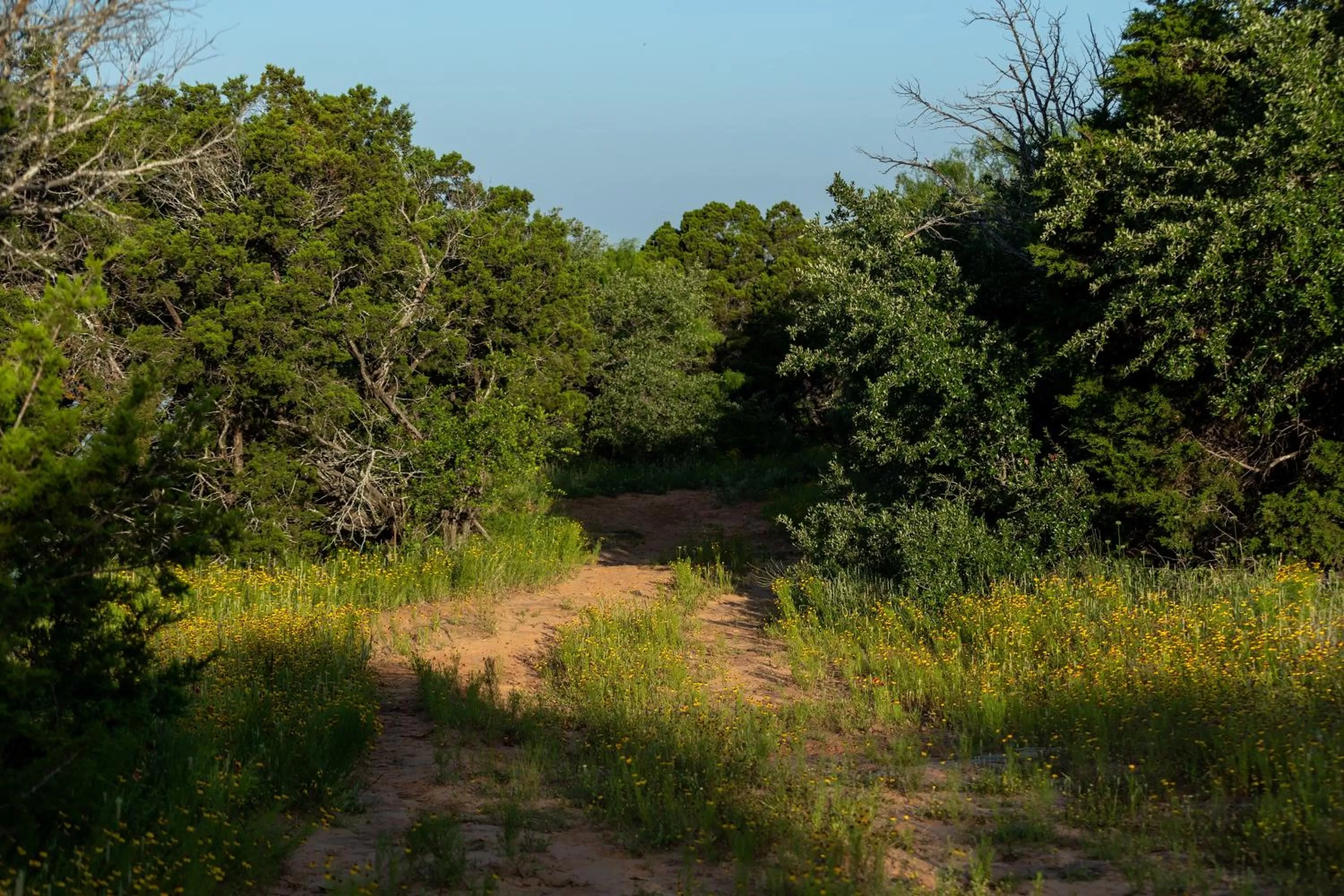Spring in Wildcatter Ranch and Resort