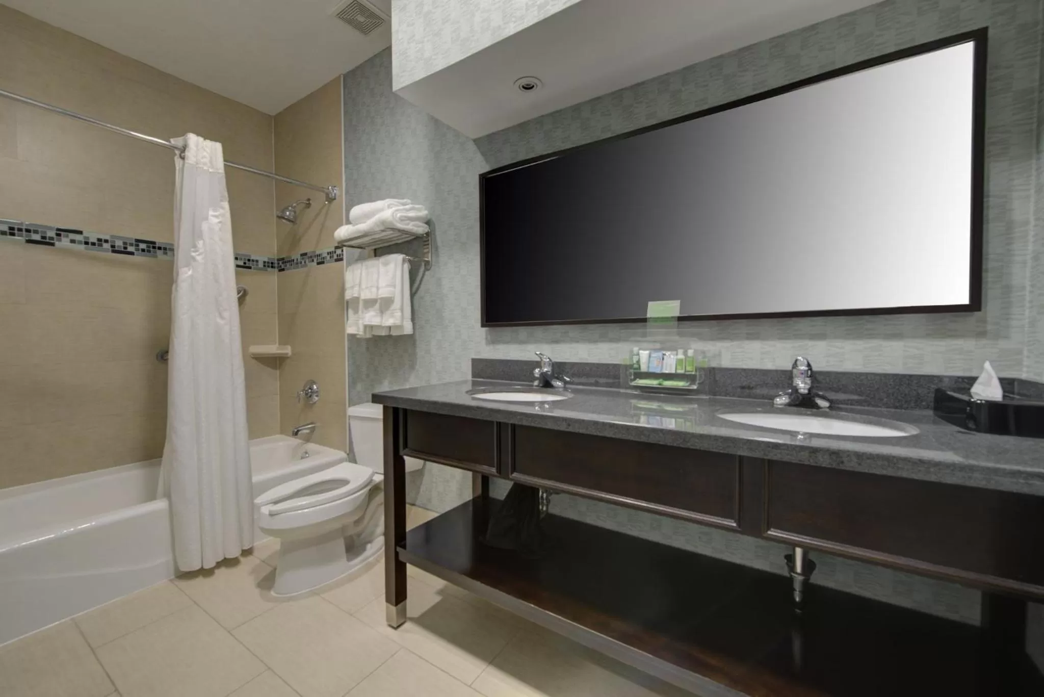 Bathroom in Holiday Inn Plainview-Long Island by IHG