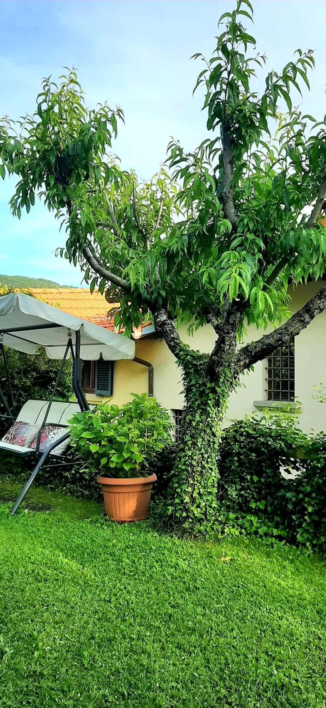 Garden in B&B degli Allori