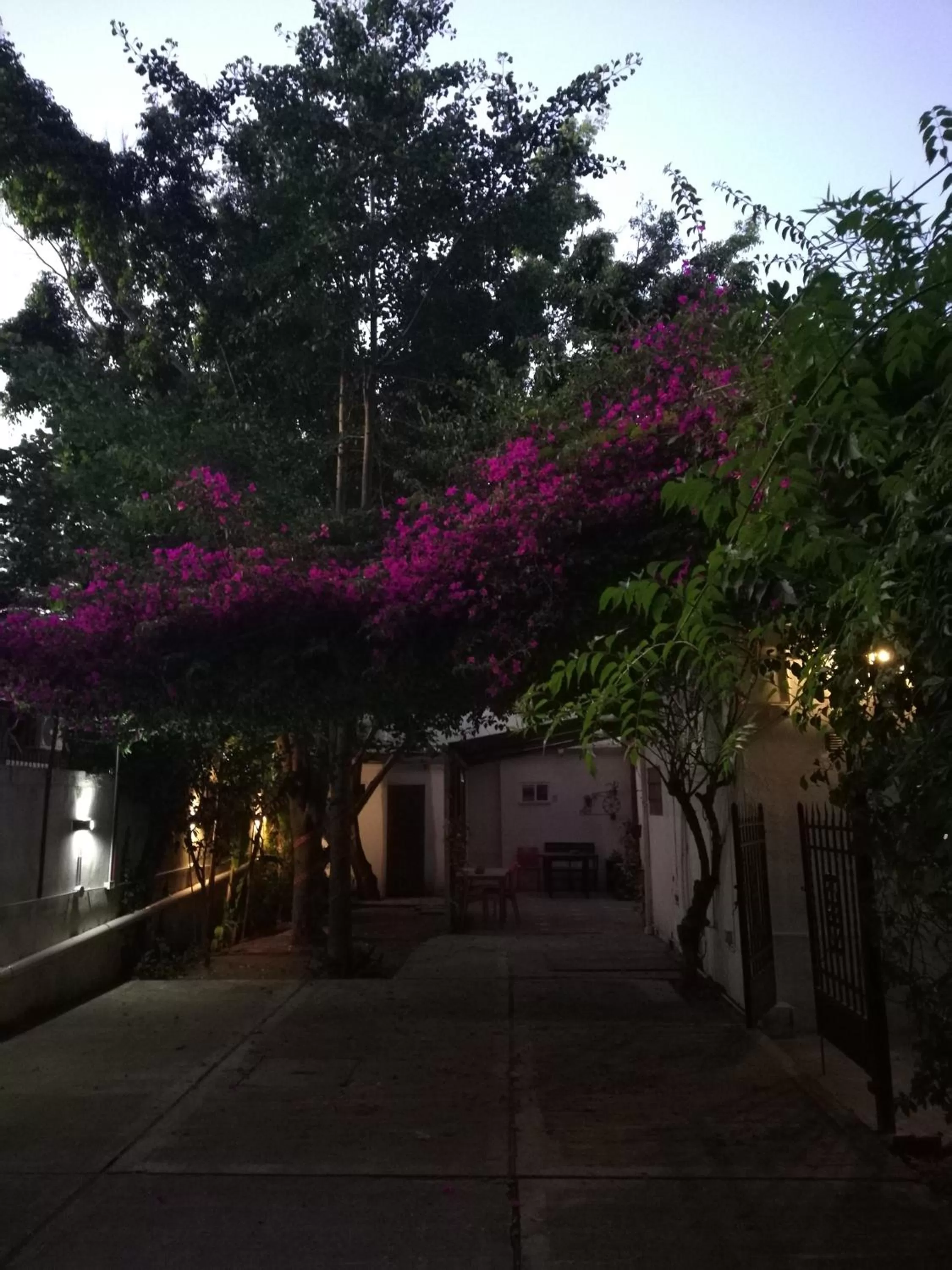 Garden, Property Building in Casablanca Boutique Hotel Adrogué