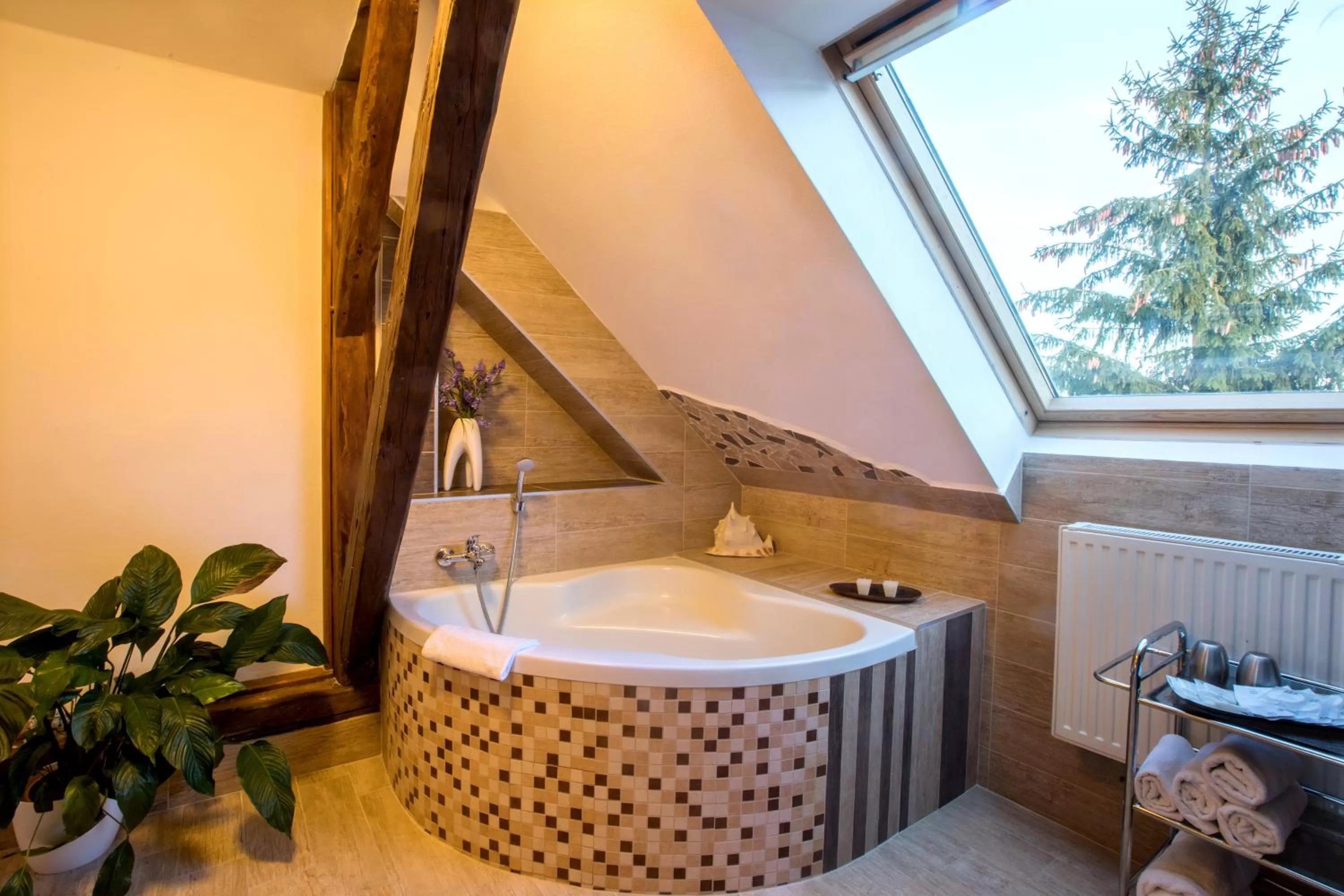 Photo of the whole room in Wellness hotel & minipivovar Kněžínek