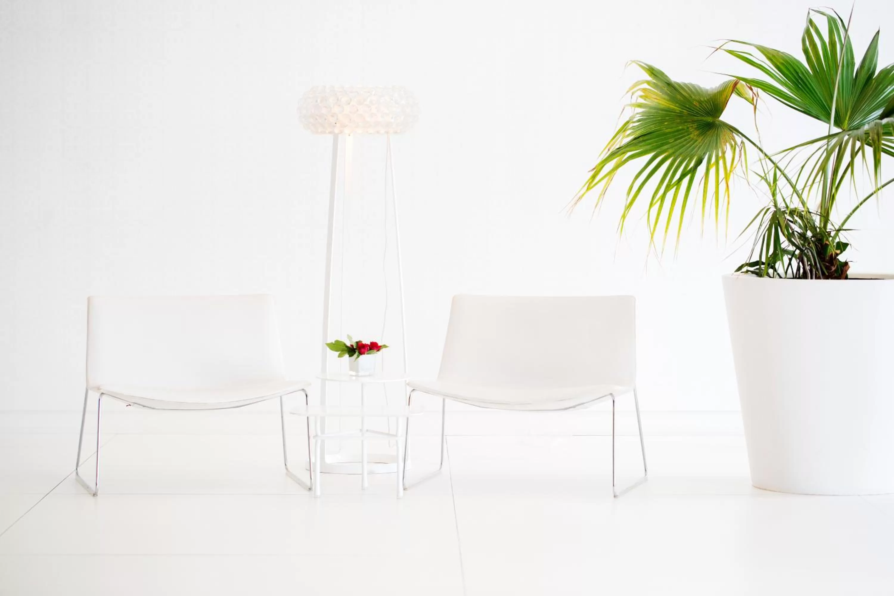 Lobby or reception in Dar El Marsa Hotel & Spa