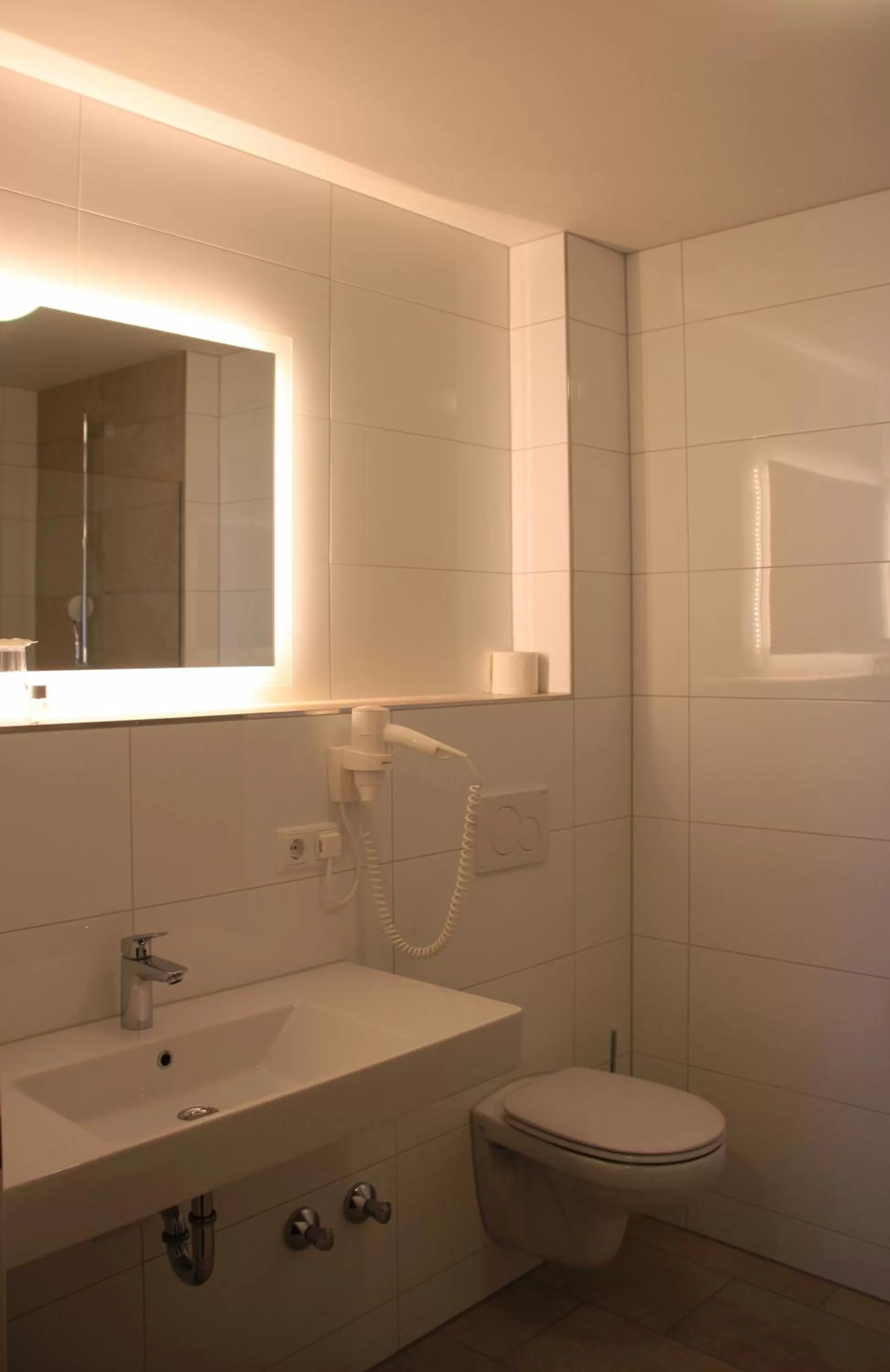 Bathroom in Hotel Schwabenwirt