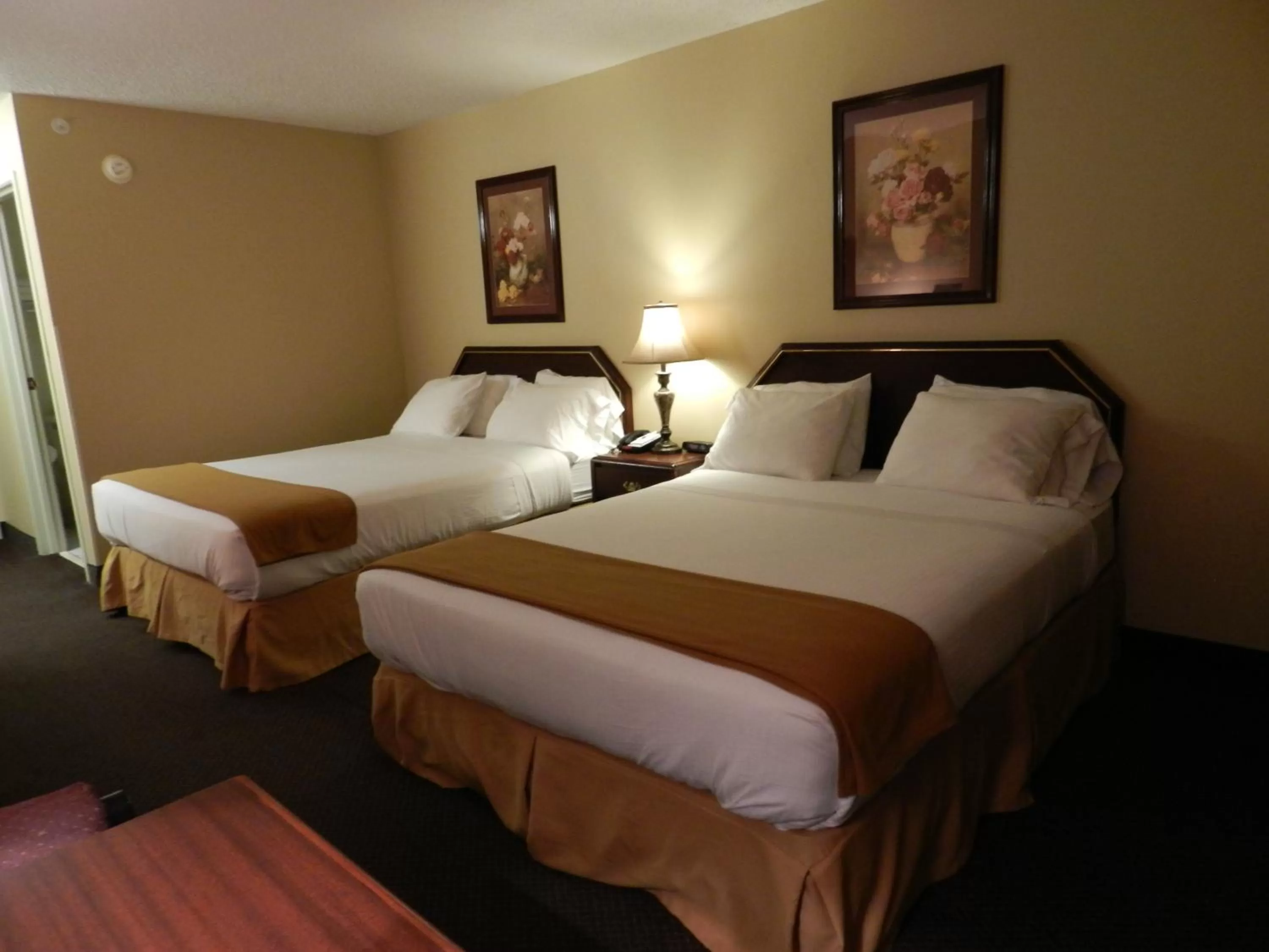 Photo of the whole room, Bed in Luxury Inn & Suites Troy