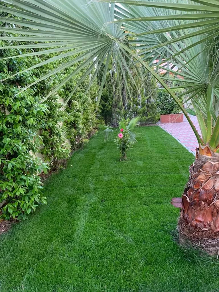 Garden in B&B The Garden