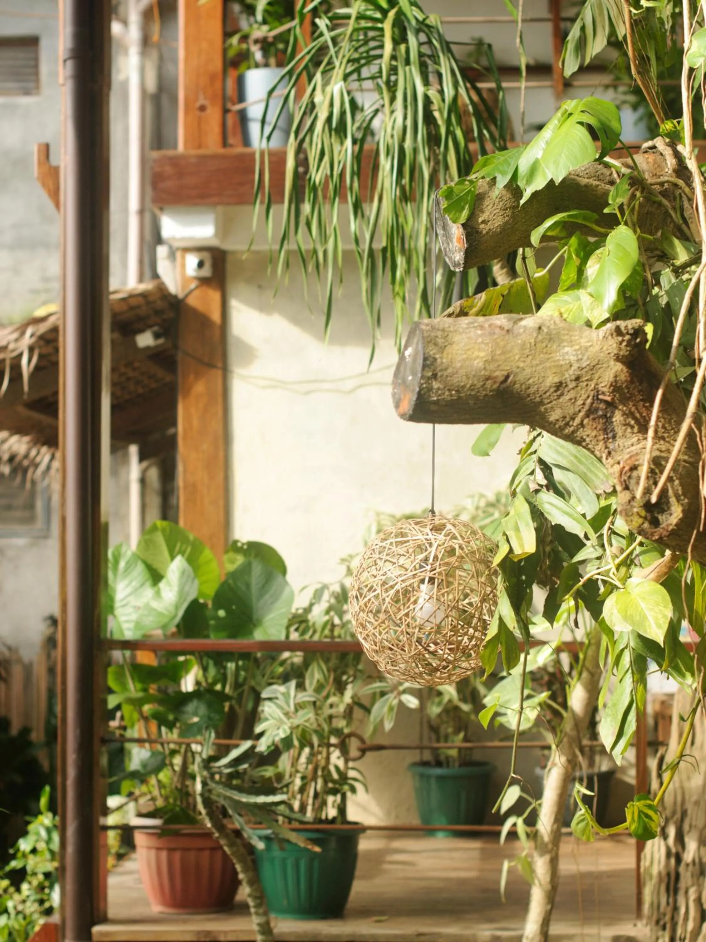 Day in Happiness Boutique Resort El Nido