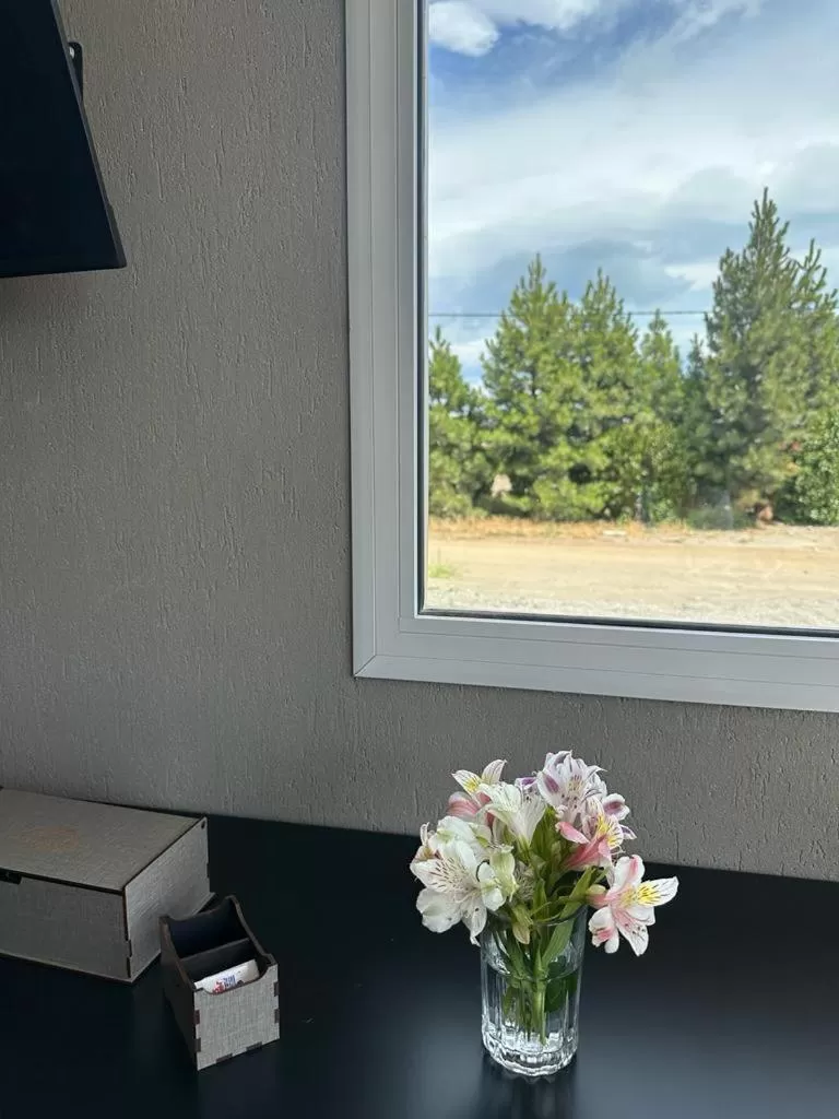 Tierra Tehuelche Hostería y Aparts