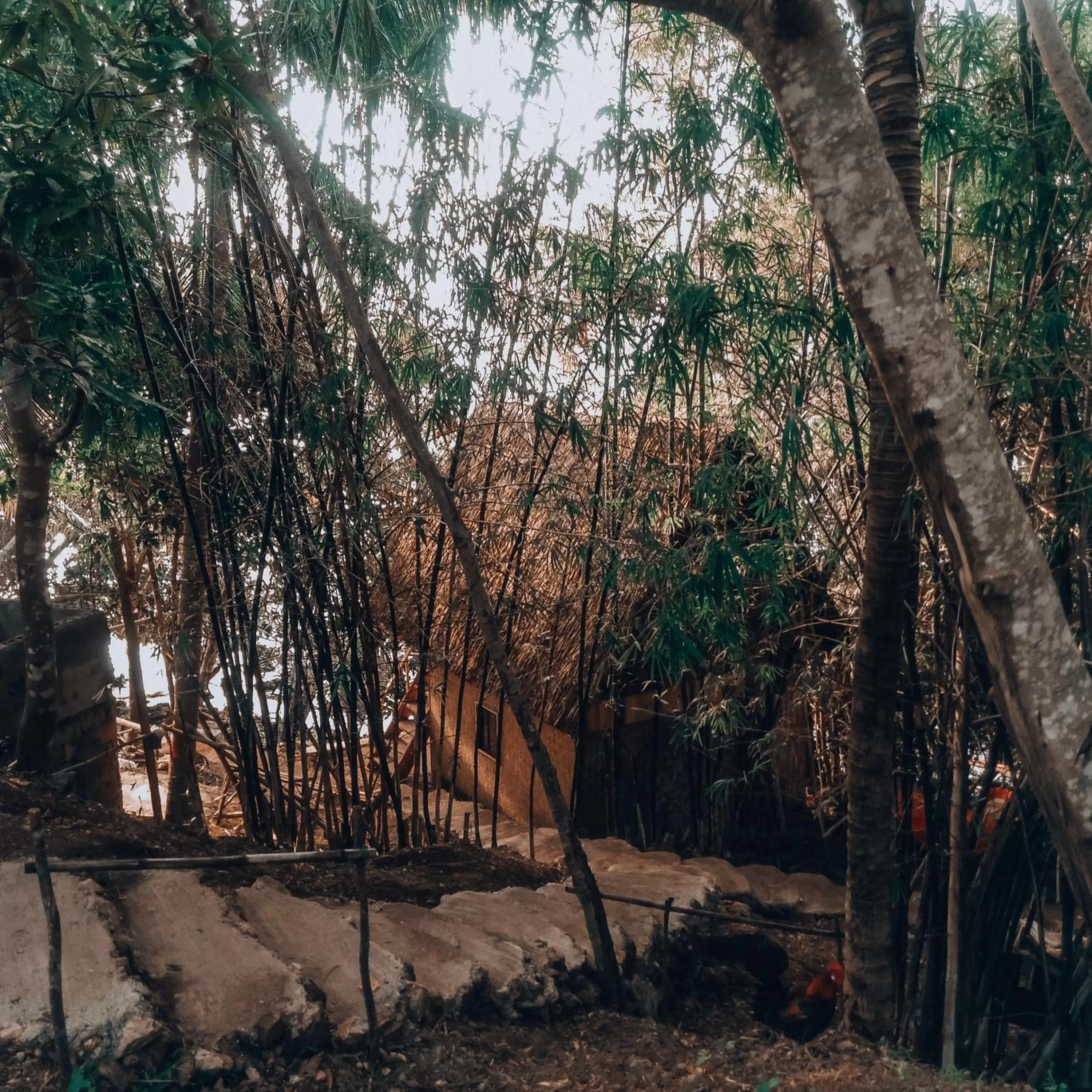 Cocovana Beach Resort