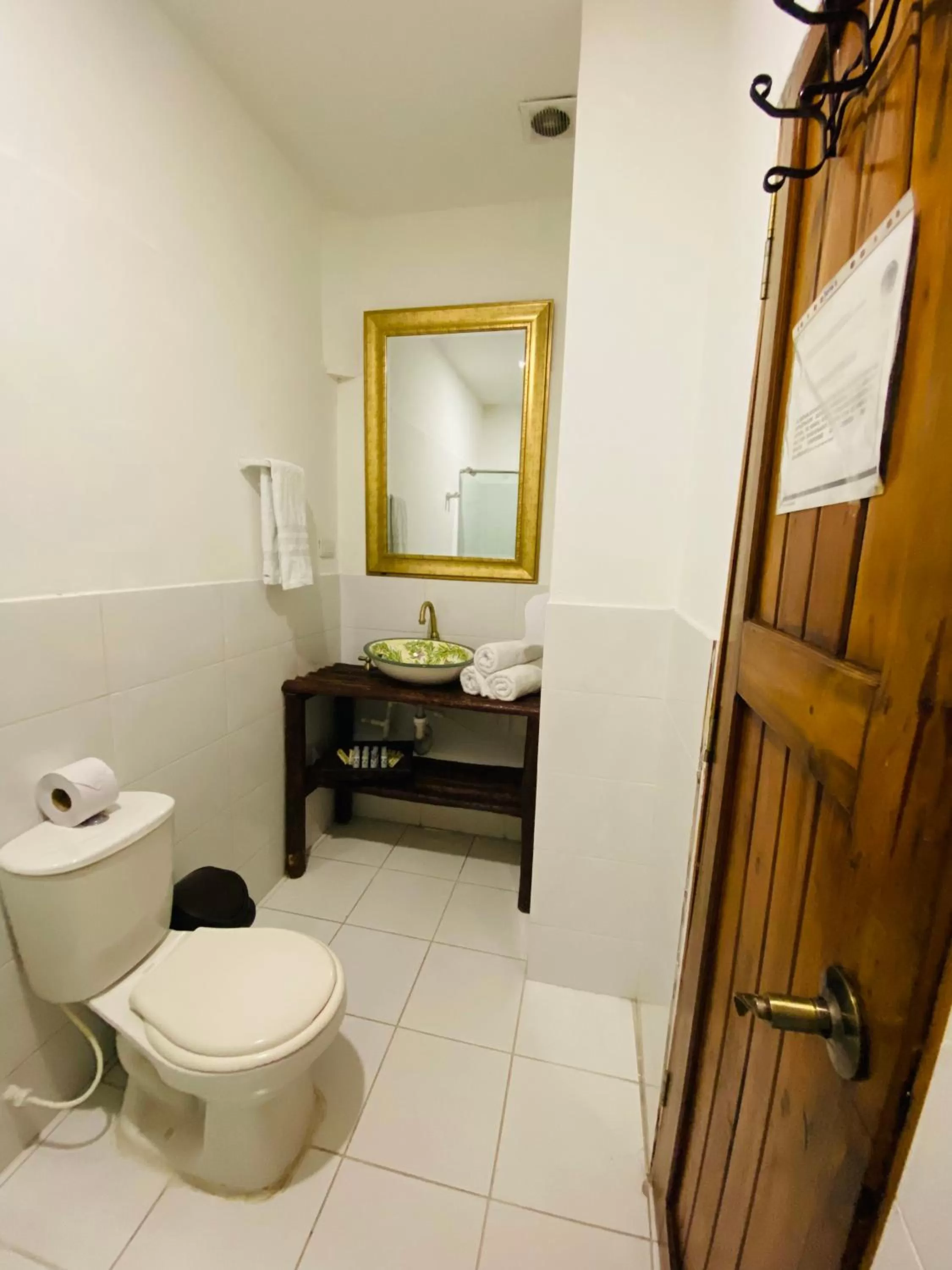 Toilet in Hotel Terraza San Antonio