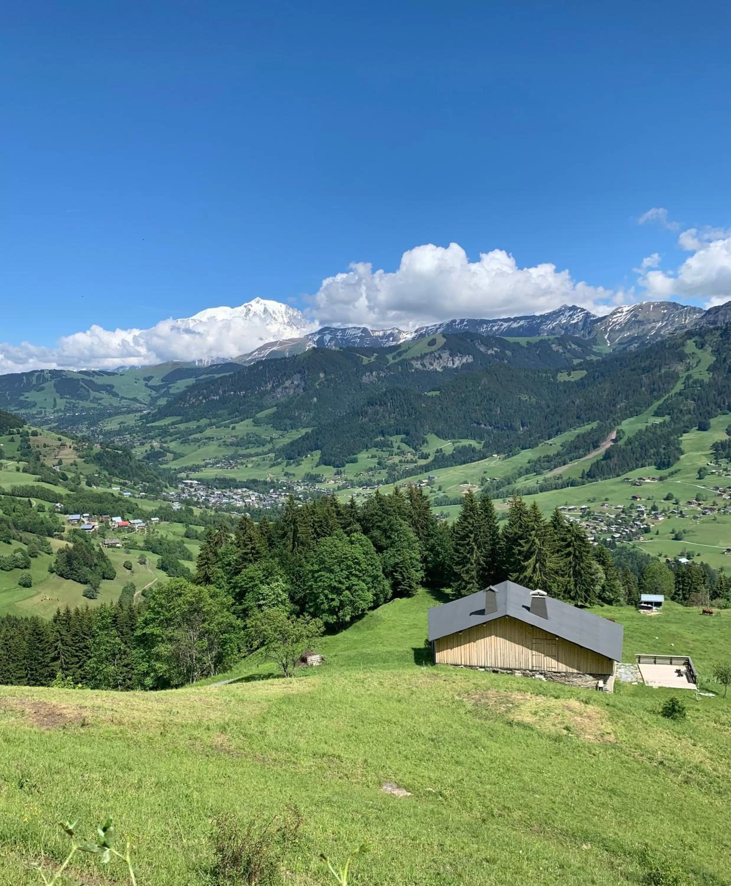 Nearby landmark in Coeur des Neiges