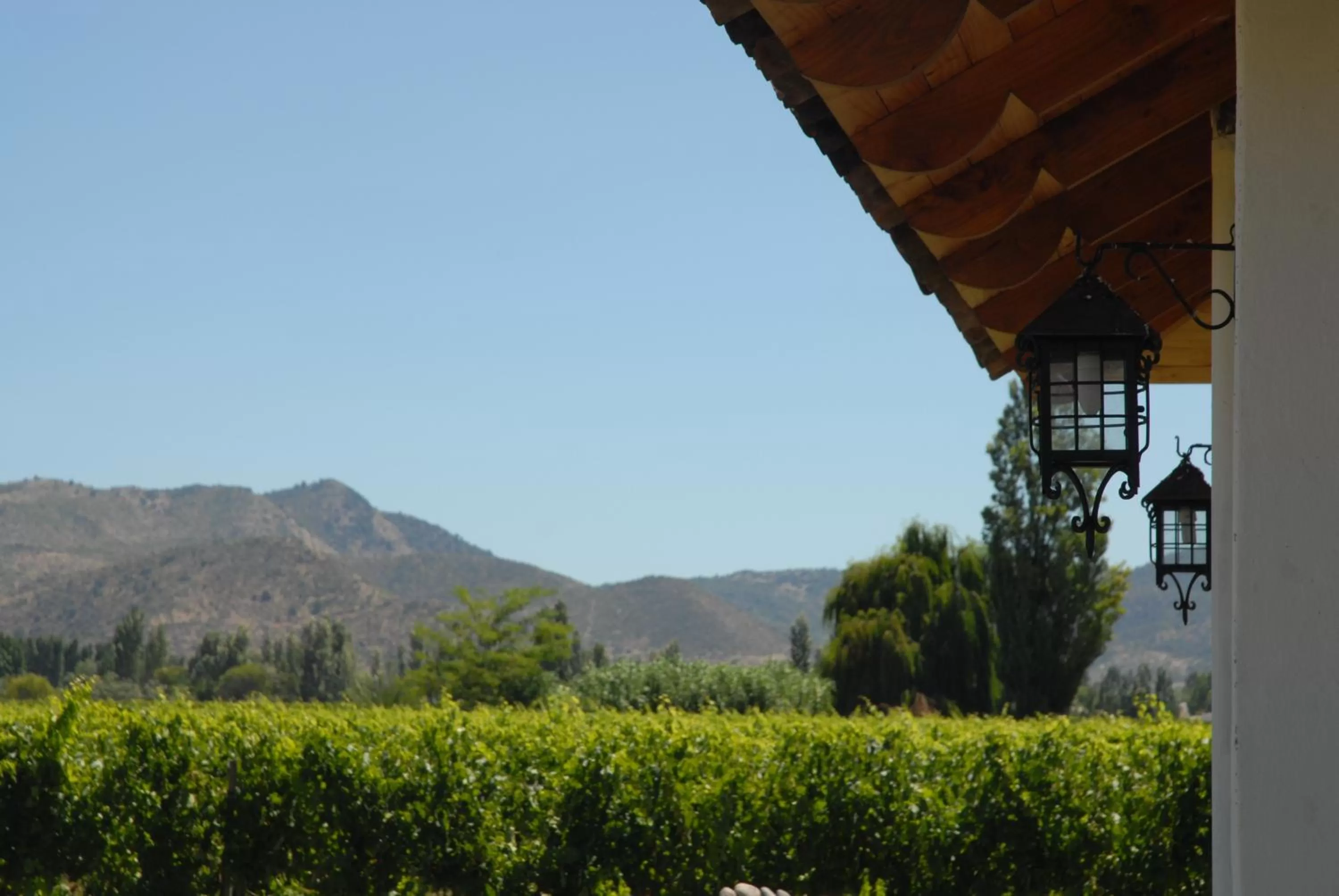 Decorative detail in Hotel Terraviña
